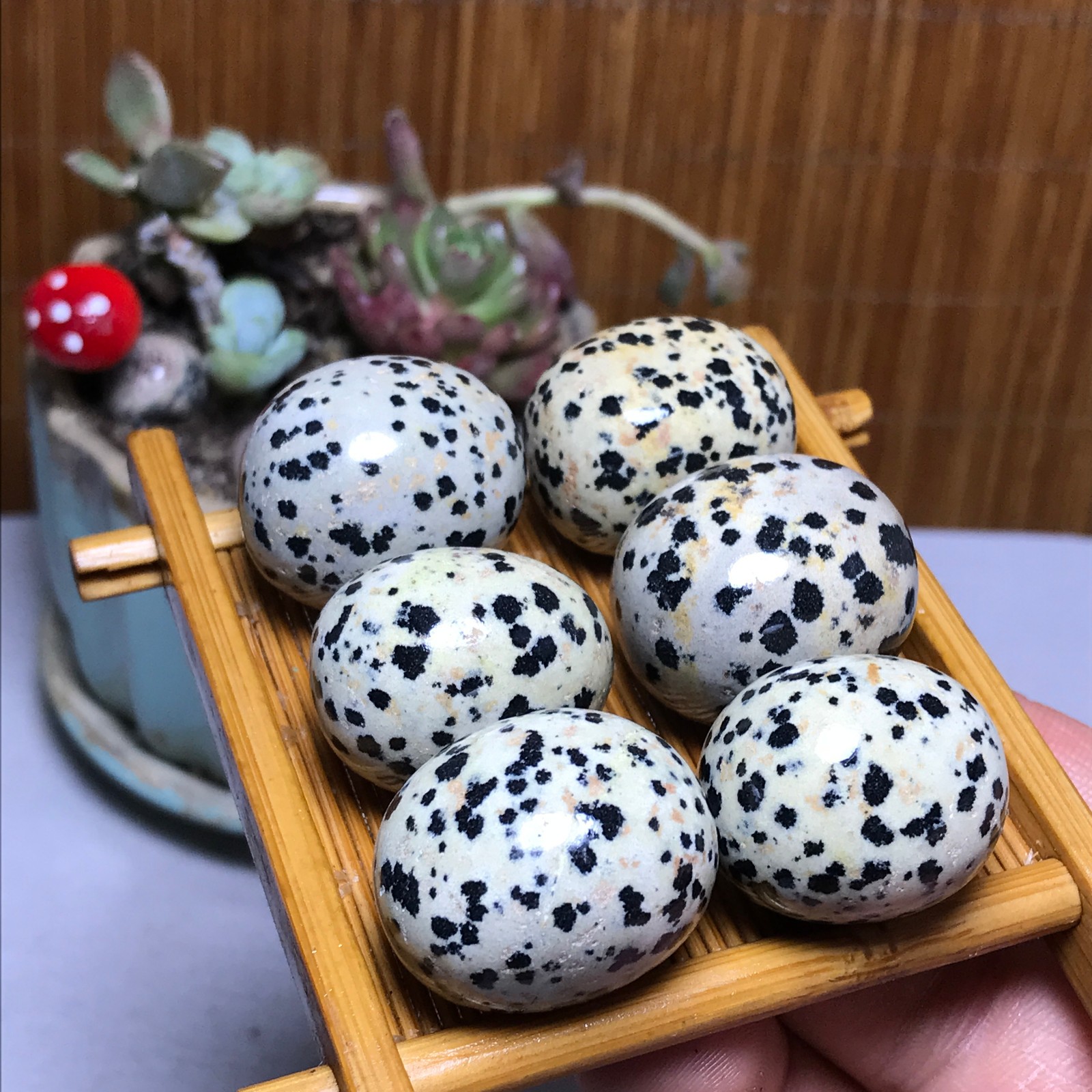 28-22-21mm 6Pcs Natural spotted stone Crystal gemstone Mineral Specimen A4402