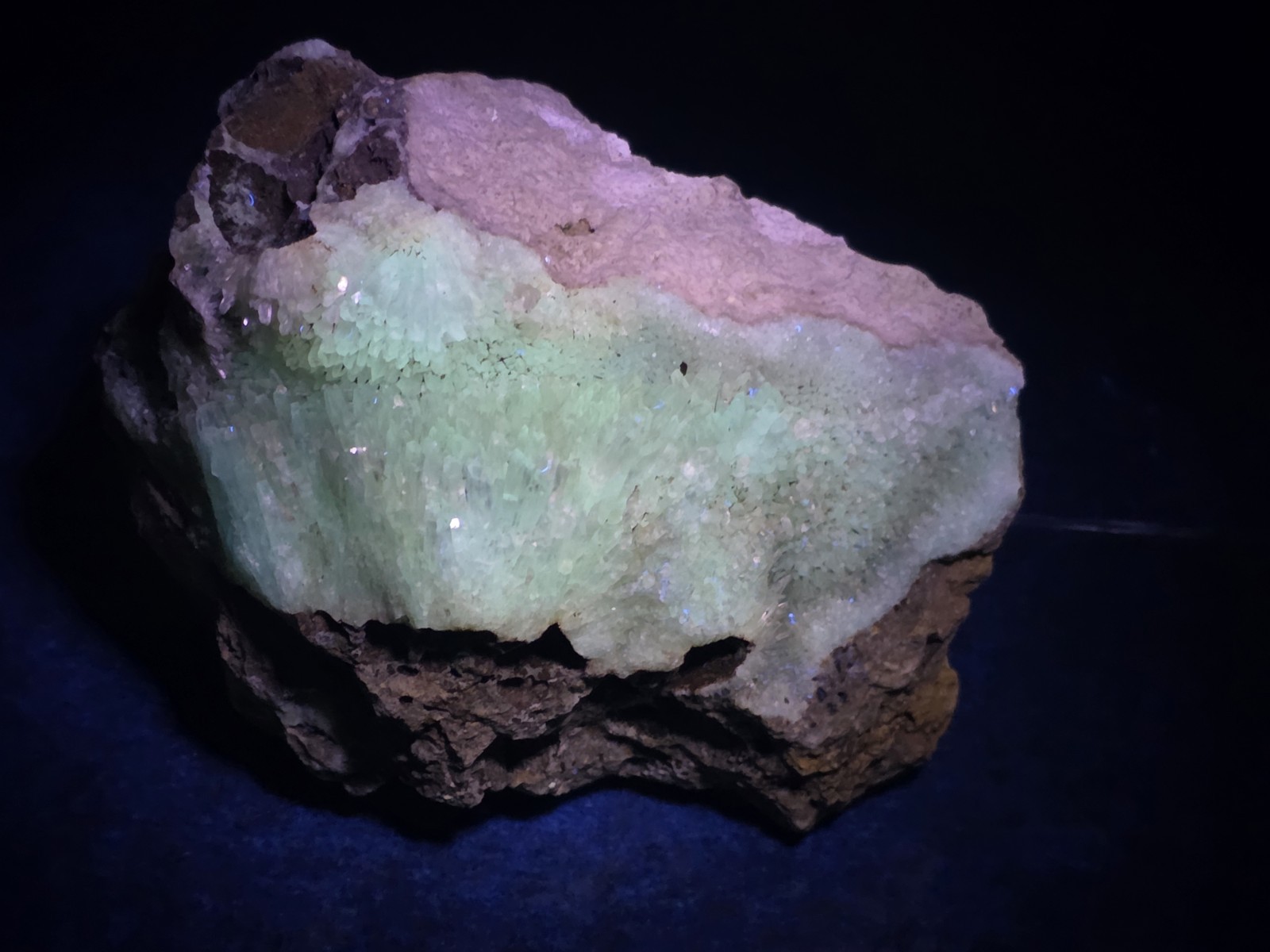 Fluorescent Aragonite Needle Spray in Fossil Matrix | Crystal River, Florida