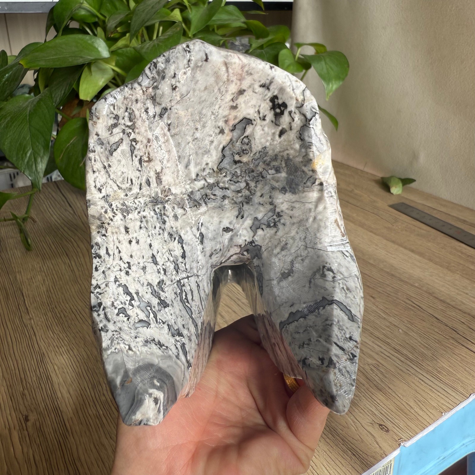 3LB natural Zebra stone Dinosaur skull carved Quartz Crystal reiki Gift