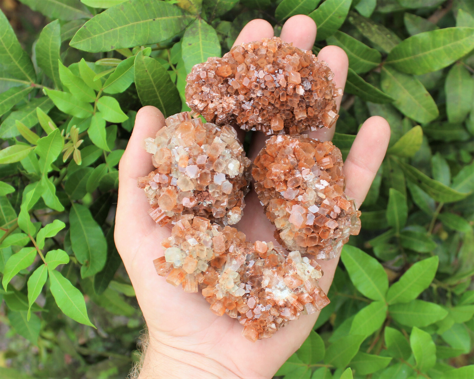 Aragonite Clusters from Morocco ‘A’ Grade Aragonite Crystals: You Choose Size!