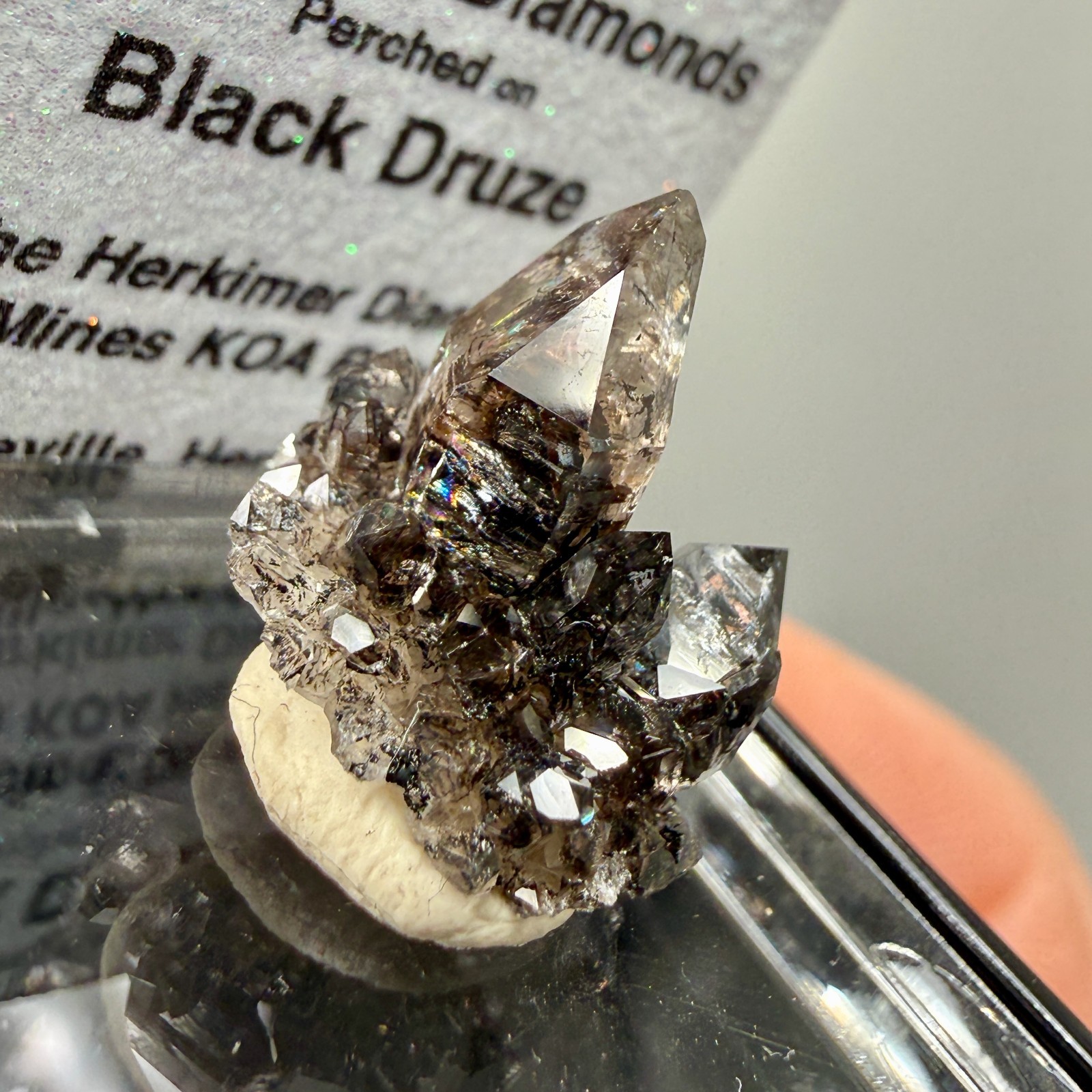 Herkimer Diamond Perched on Rare Black Druze, Gem Points w/ Phantoms