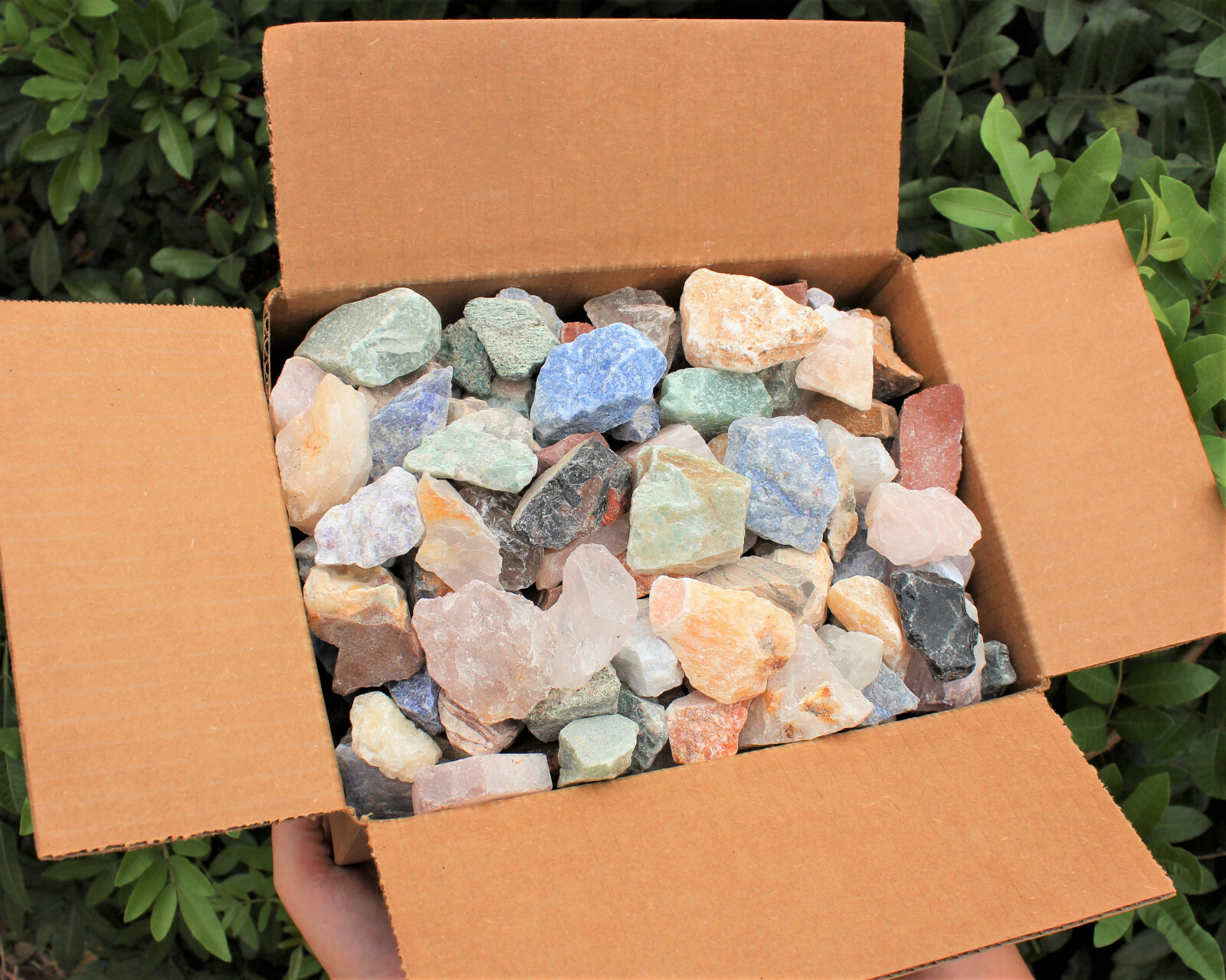 Garden Mix Assorted Rough Stones: 8 lb Bulk Clearance Box (Raw Natural Rocks)