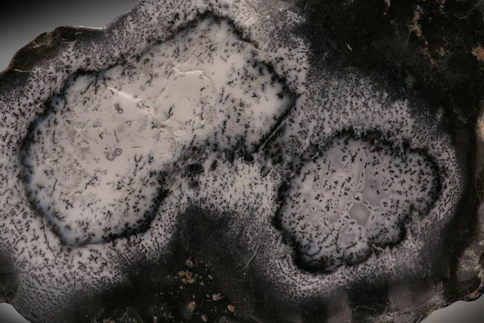 Nice Chunk of dendritic agate showing the contrasting white and black pattern