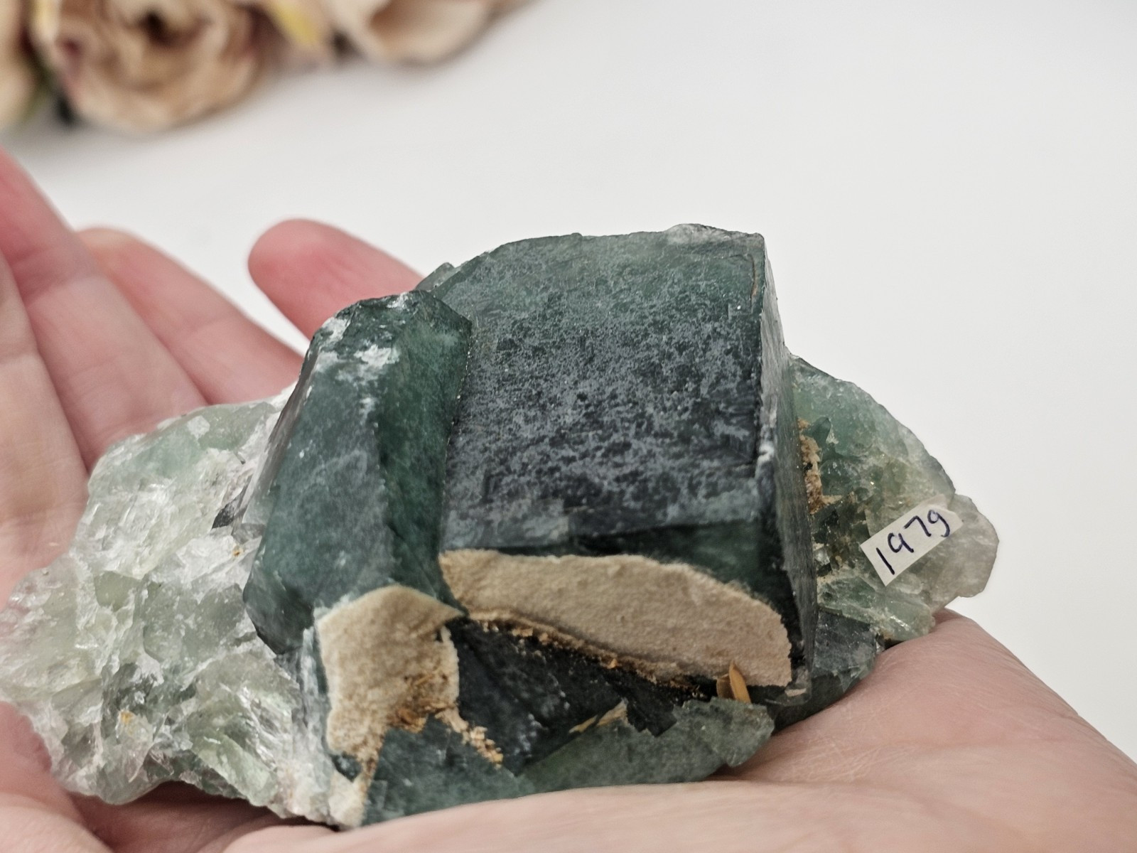 Green Teal Cubic Fluorite Specimen Rare crystal Raw 197g 7.8cm Blue