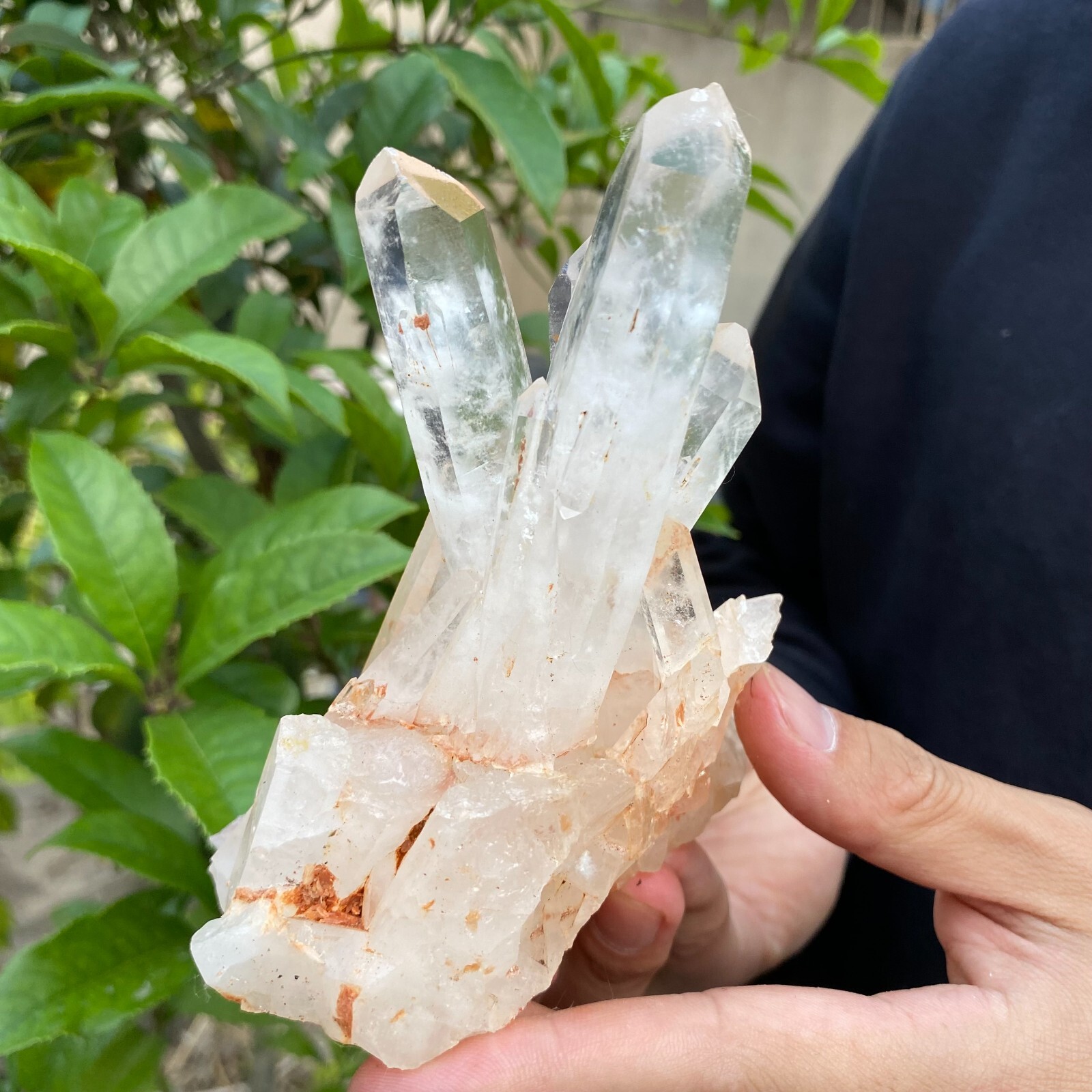 1.2lb Natural Clear White quart Crystal Cluster Raw Healing Specimen