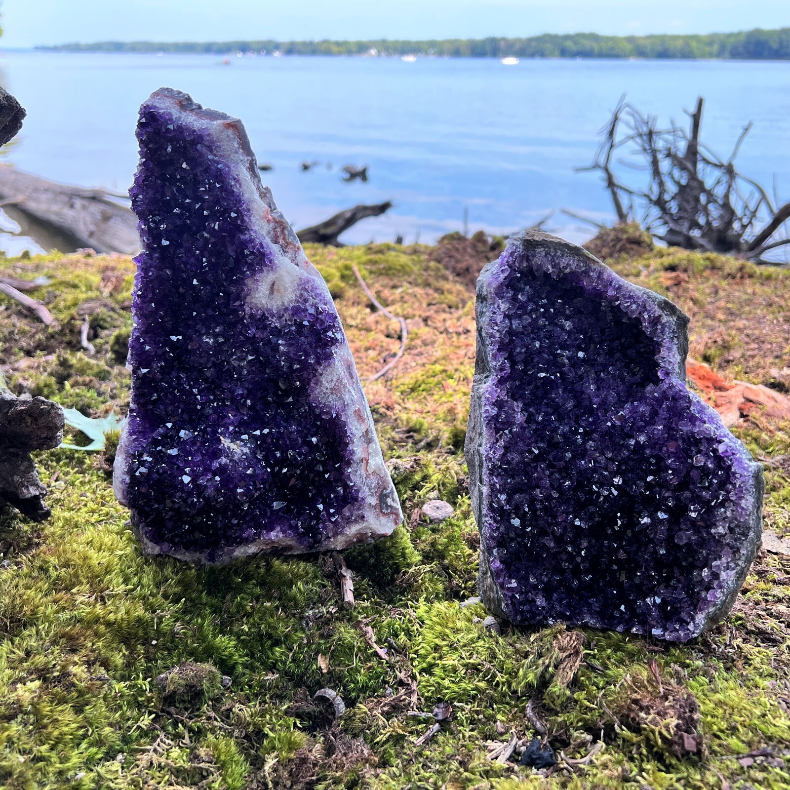 HUGE XXXL LARGE Amethyst Druze Crystal Cluster With Cut Base Specimen ~ 4-6 Lbs