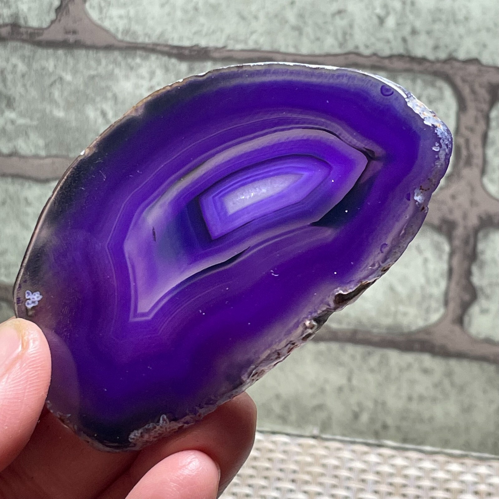 Bedrock Natural Agate Slice Coasters Display Table Geode Decor 48g F100