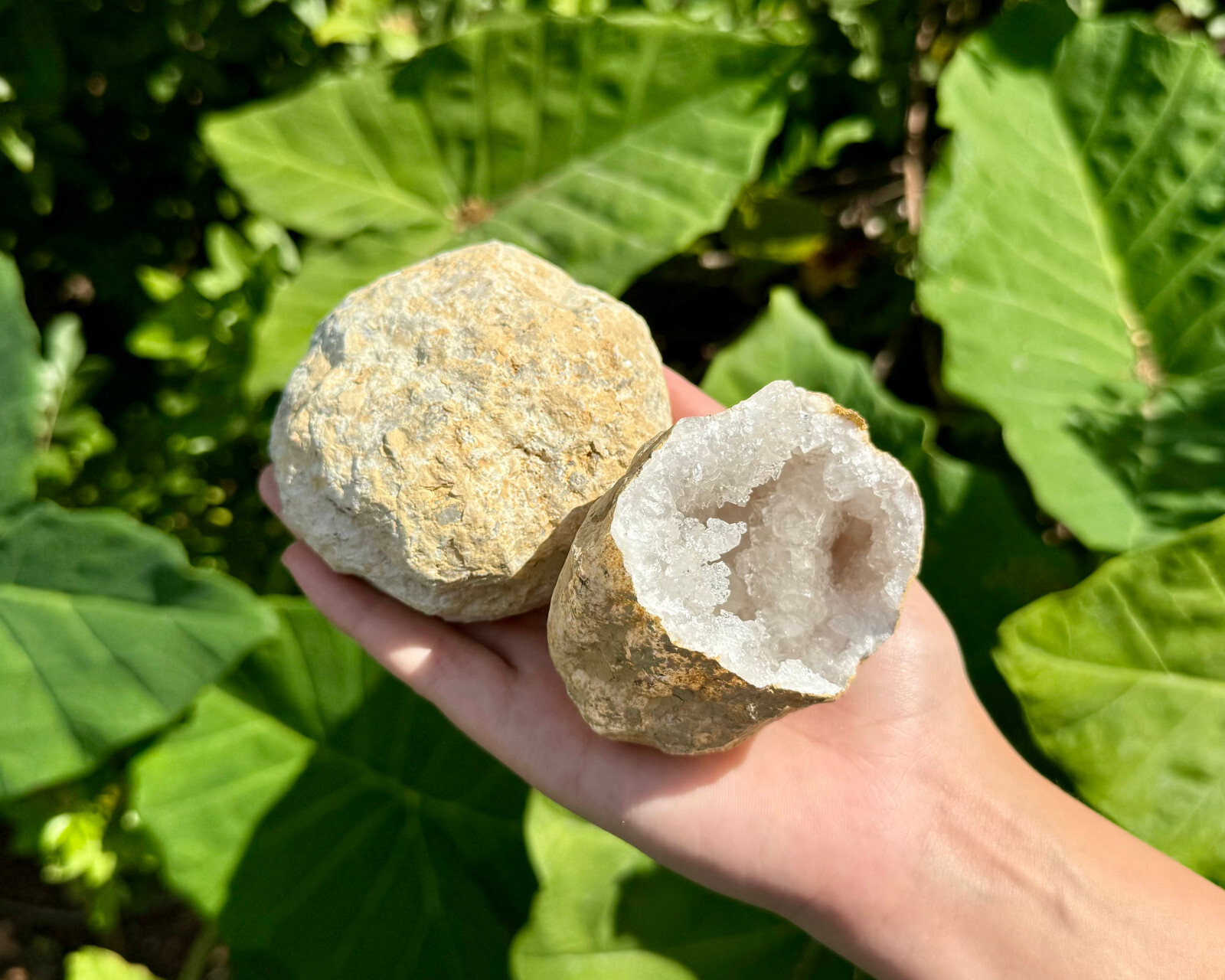 JUMBO Break Your Own Geodes Wholesale Lots – Unopened Moroccan Calcite Crystals