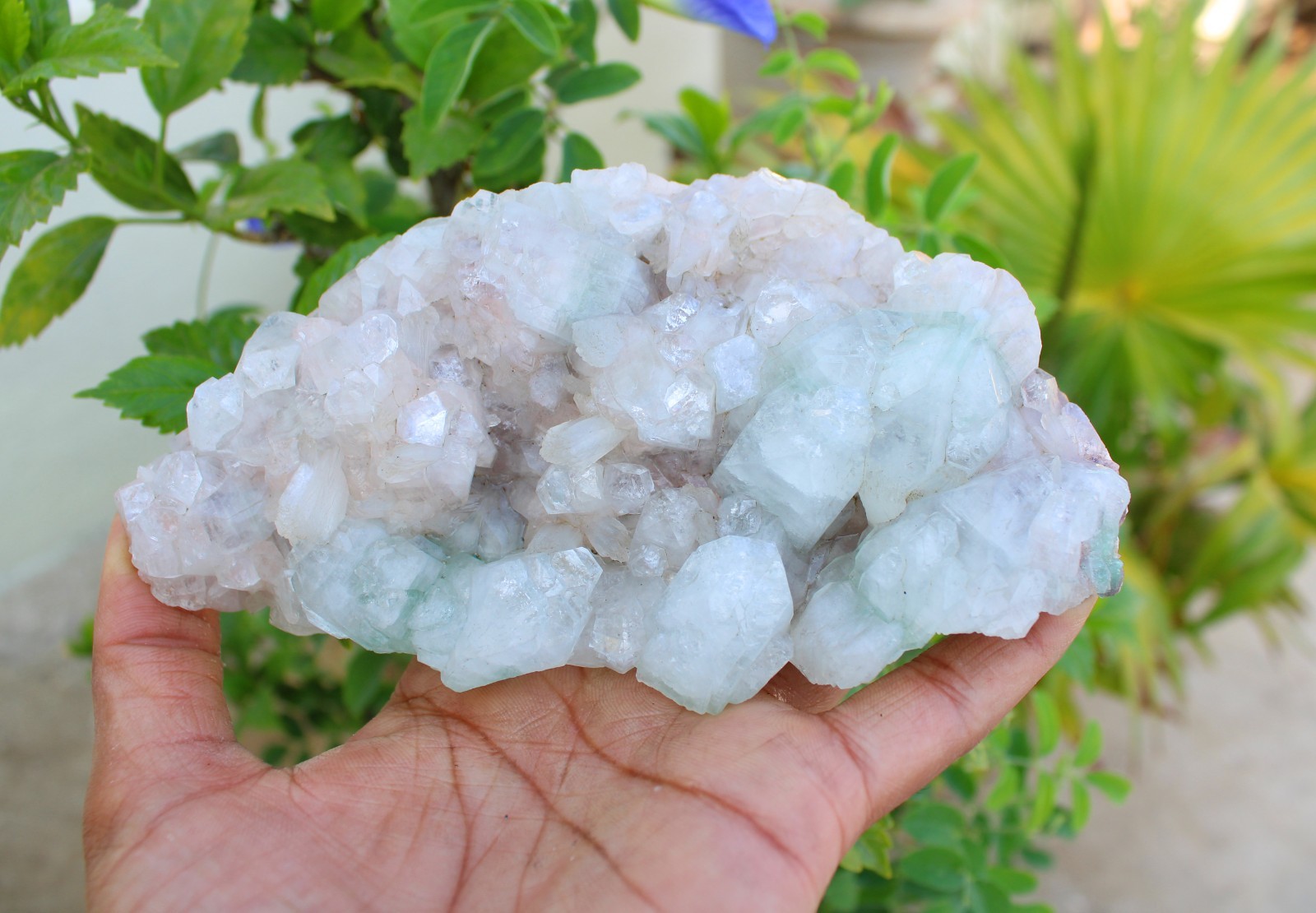 GREEN APOPHYLLITE CRYSTALS ON MATRIX MINERALS SPECIMEN #A43
