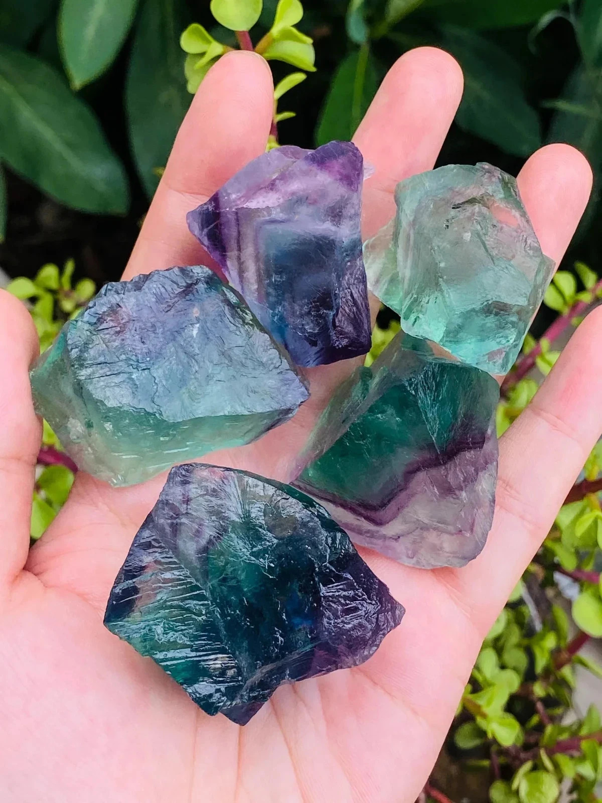 3PCS Raw Rainbow Fluorite Chunks Healing Rough Crystal Mineral Rocks Specimens