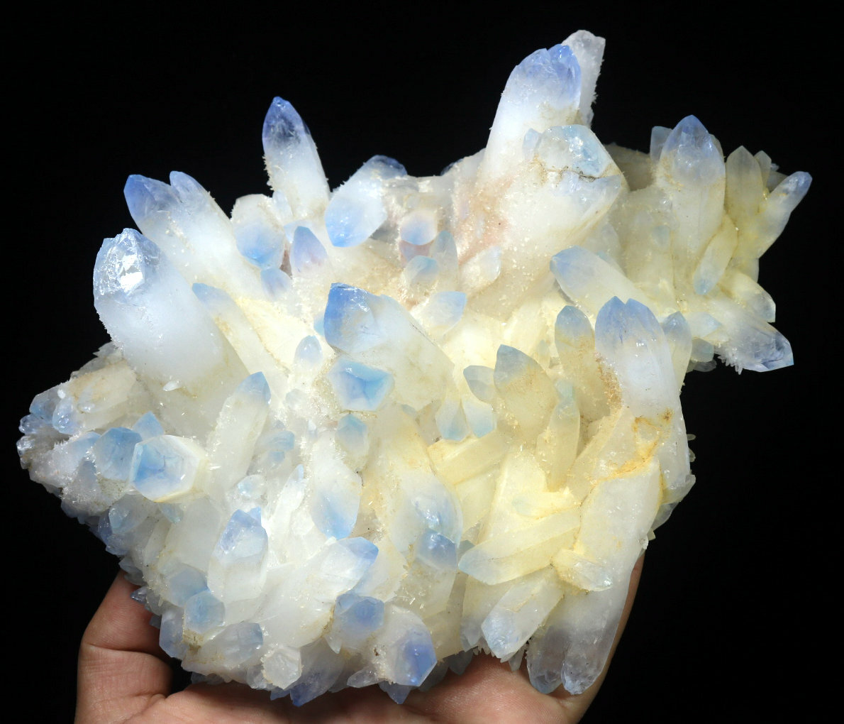 2.45 lb Rare Beatiful Blue Tibetan Ghost phantom Quartz Crystal Cluster Specimen