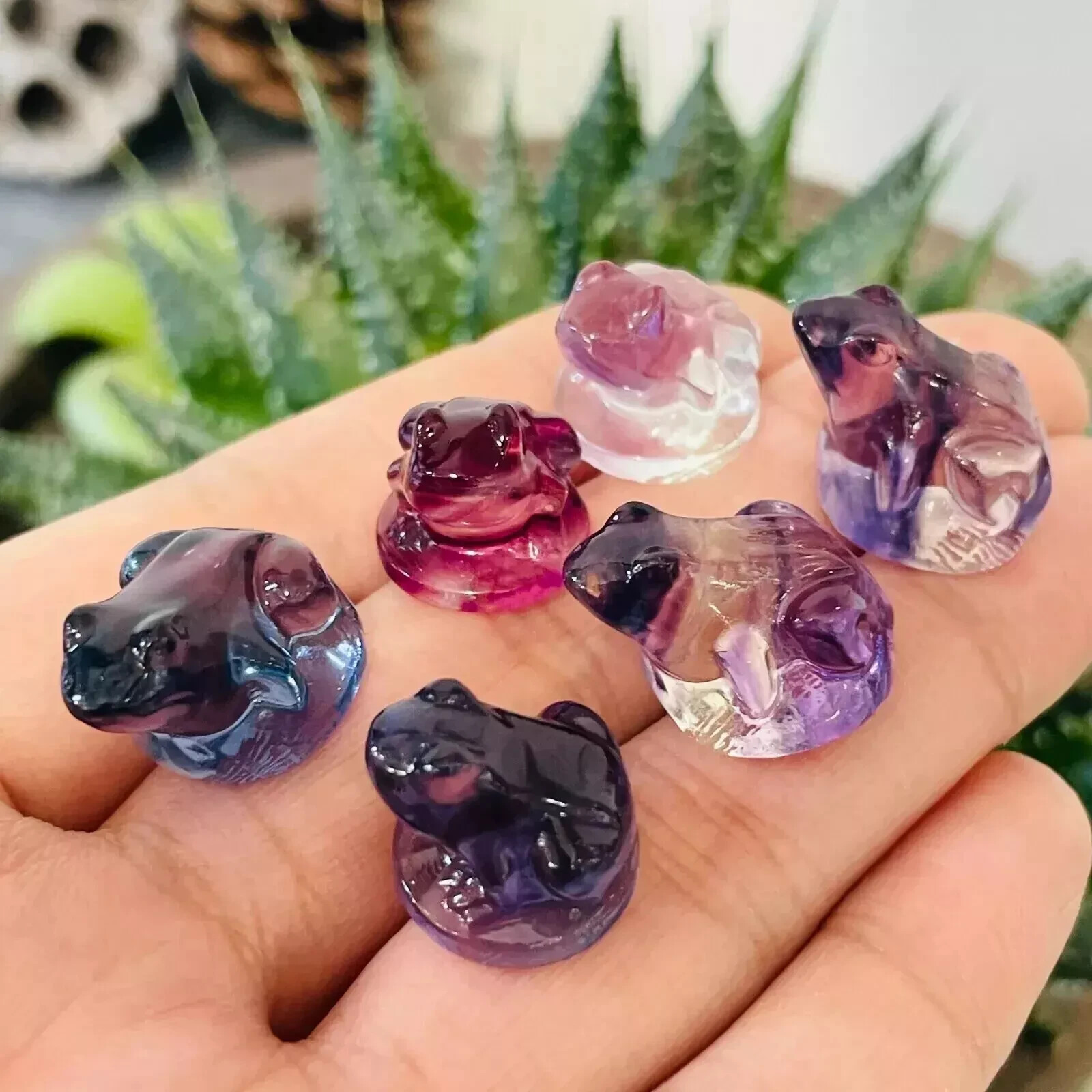 5pc Natural fluorite carved mini frog skull gift quartz crystal reiki healing