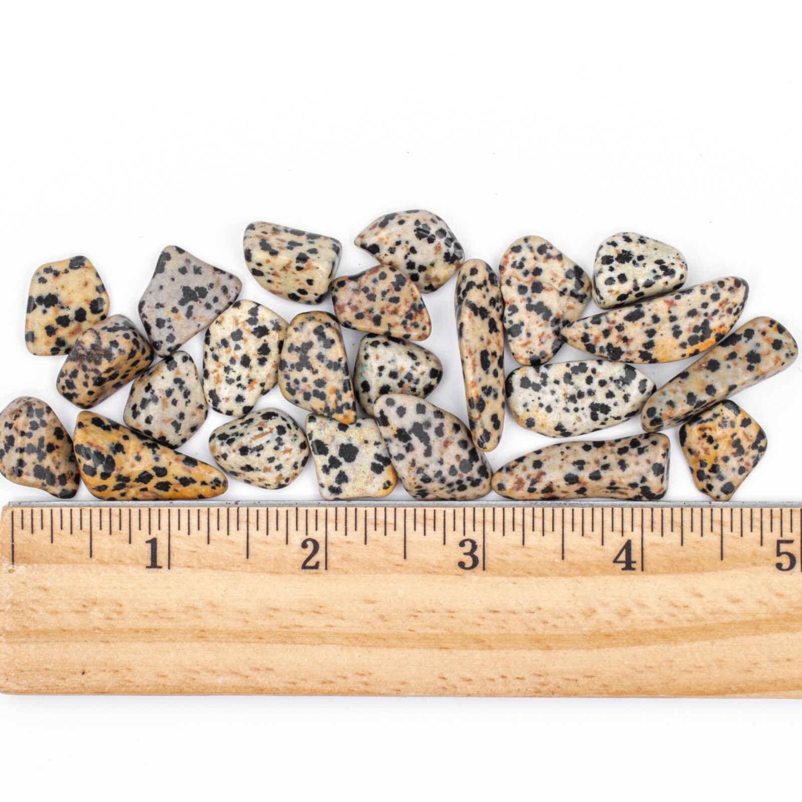 50g Tumbled Dalmatian Jasper Gemstone Crystals 15-30 Stones Bulk Gems Wholesale