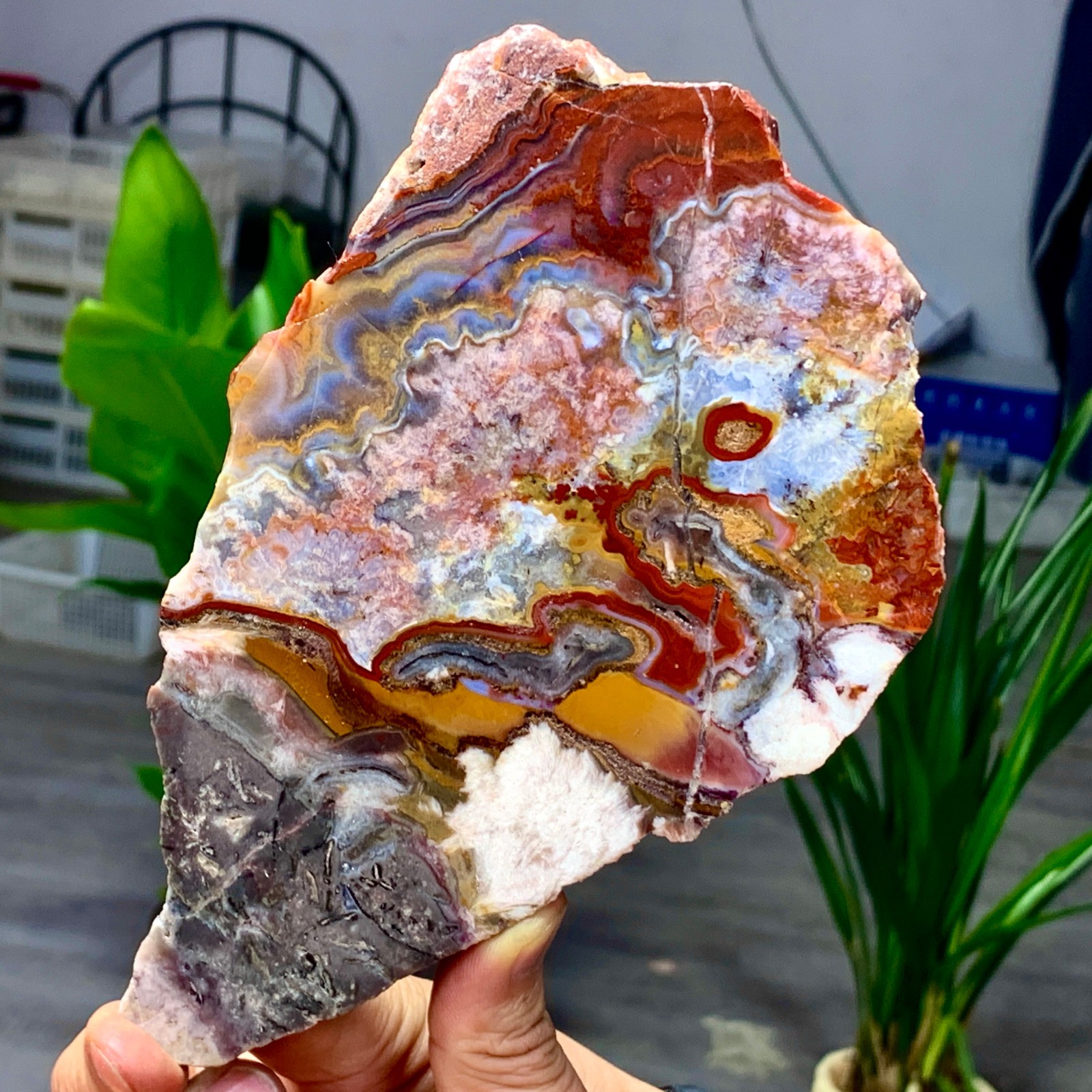 449G Natural Red Crazy Ribbon Lace Agate Crystal Polishing Sheet Mexico Repair