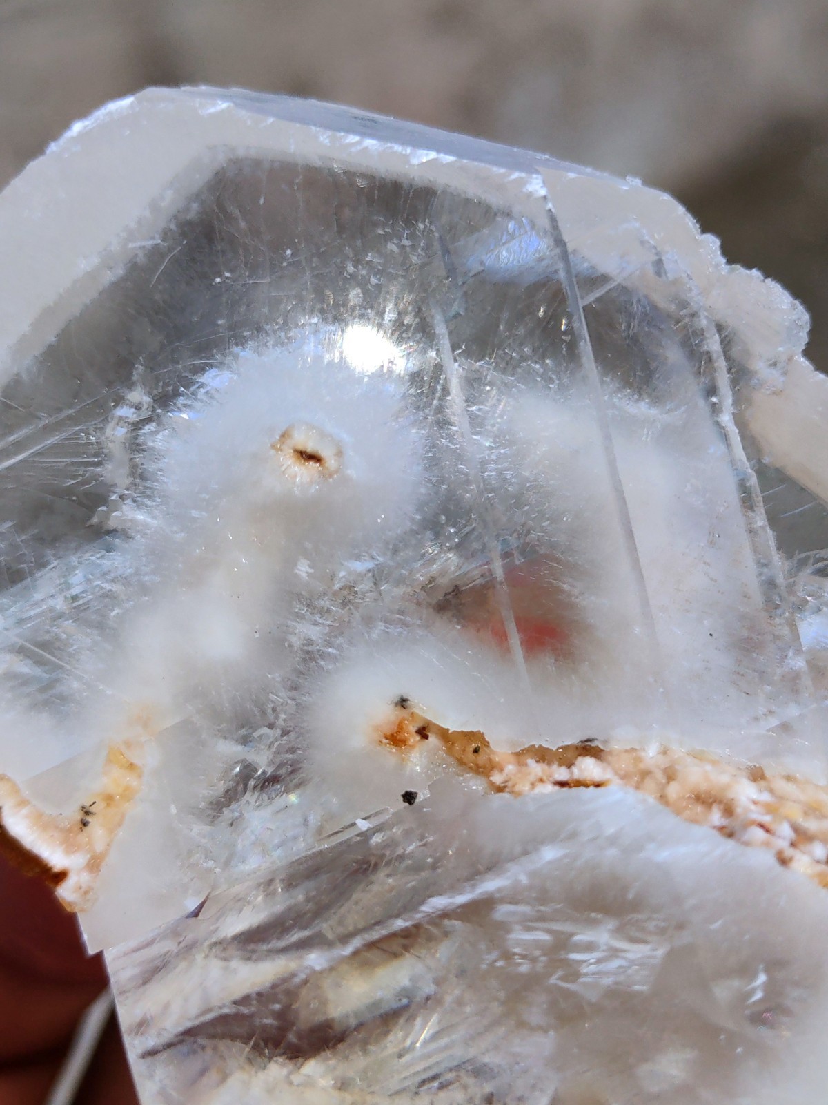 Okenite Tree 🌲 in Calcite. Phantom Calcite, Natural mineral specimen.