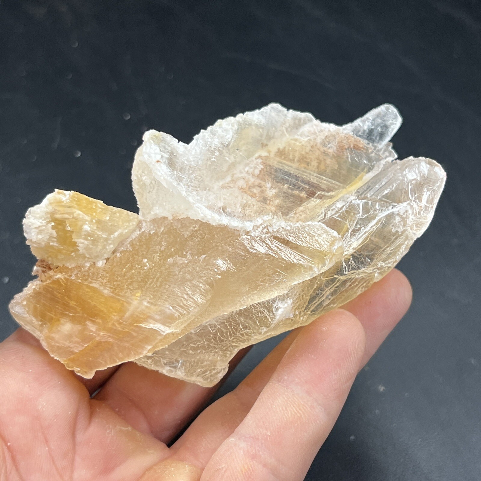 Golden Phantom Selenite Cluster aka: Gypsum | Utah