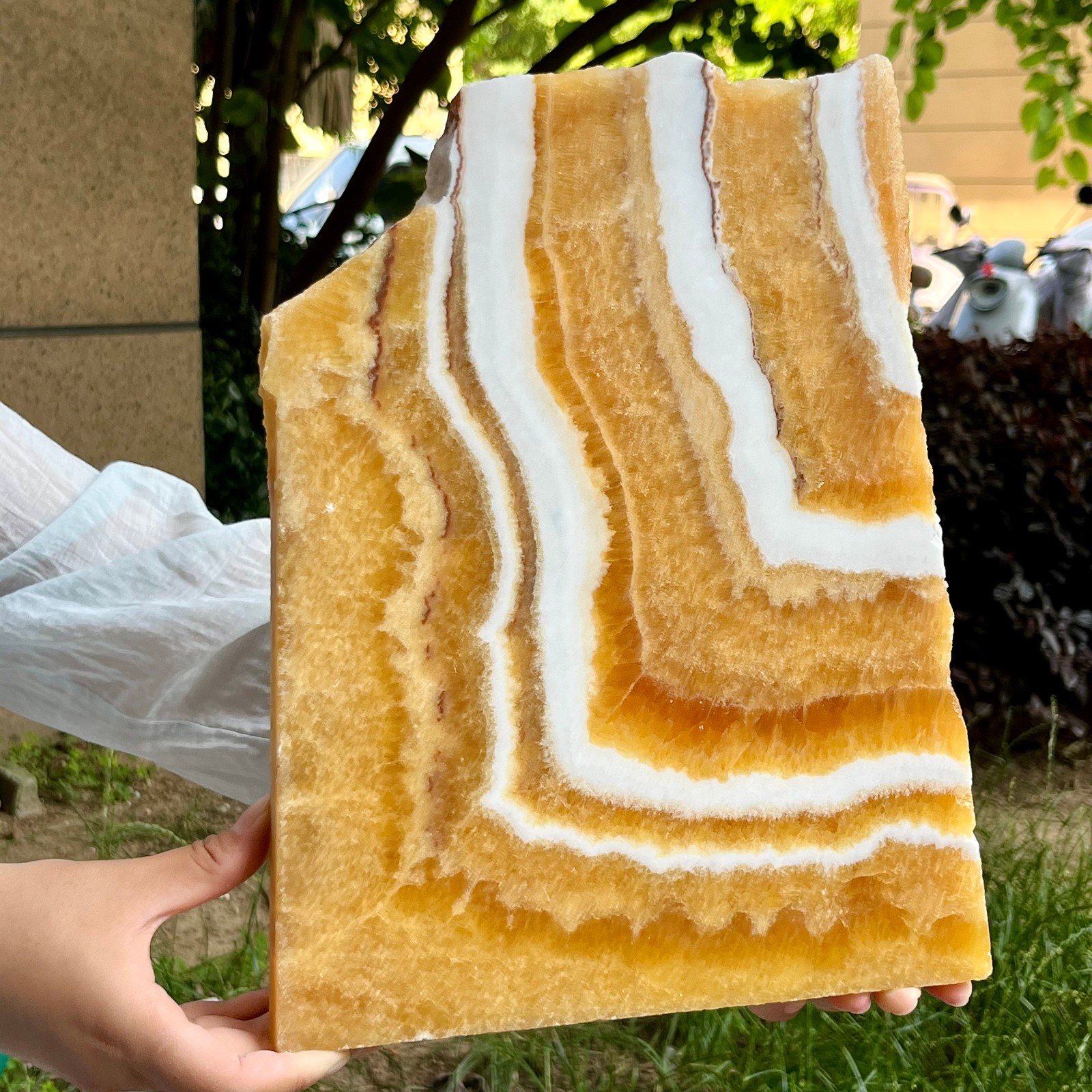 6.2 lb Authentic Yellow Calcite Polished Both Sides Crystal Slice Display