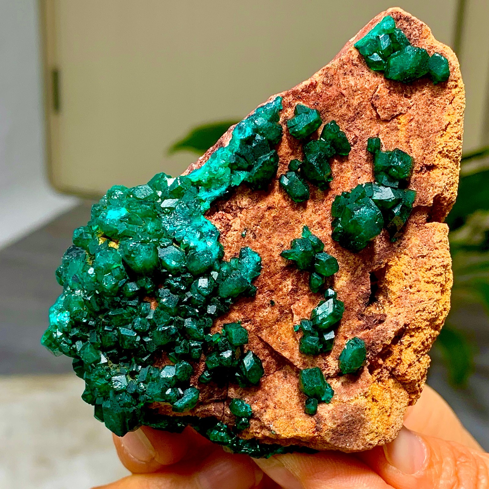 205G Natural Deep Green Grainy dioptase gemstone cluster mineral specimen