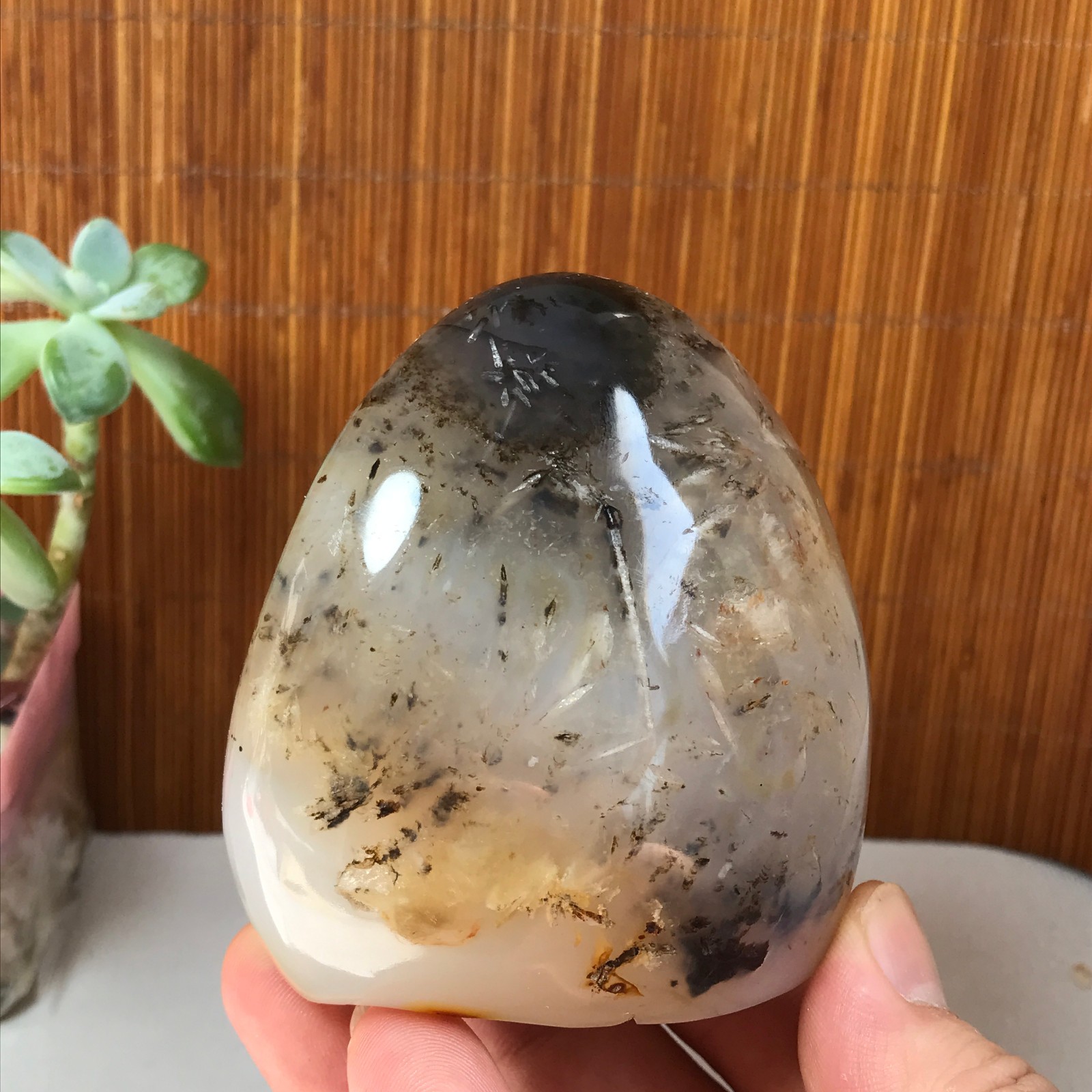 77-74-50mm Natural aquatic plants agate pretty Crystal specimens 433g A1877