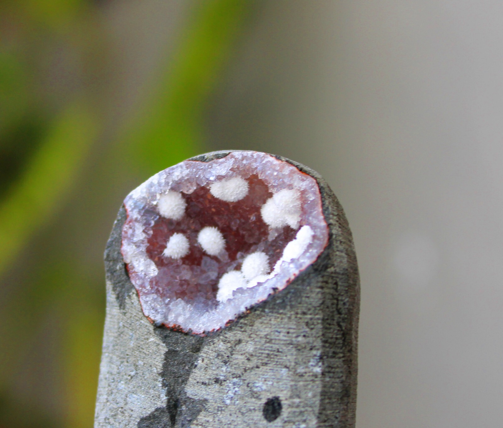 Okenite Balls On Chalcedony Geode Minerals Specimen #BG18