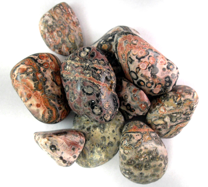 1/2 lb Tumbled Leopard Skin Jasper Gemstone Crystals 60-80 Stones Rock Specimens