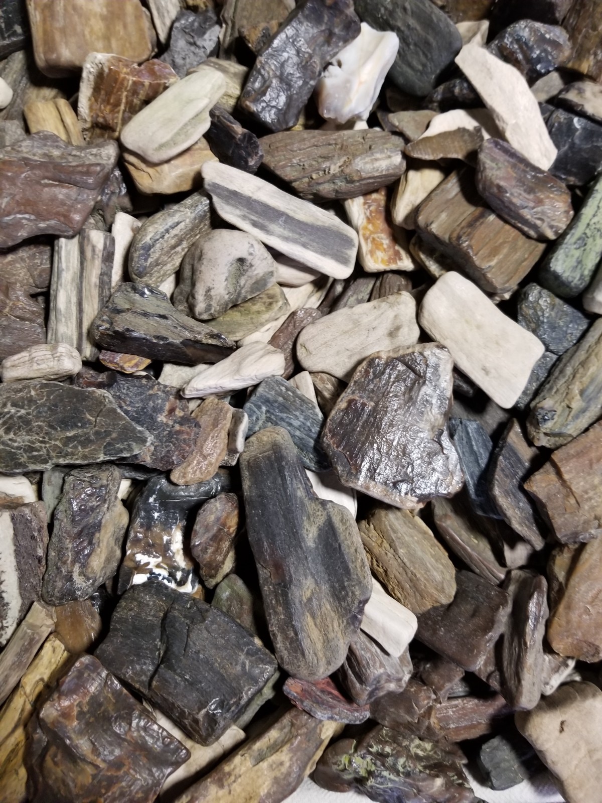 Rough Petrified Wood Stones for Tumbling Bulk Mix from Nebraska 2 lb Lot