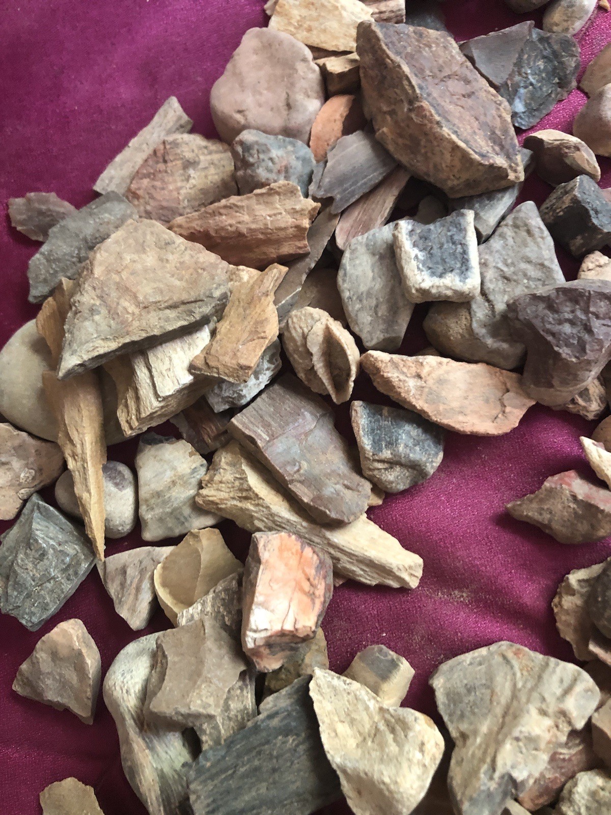 2 Pounds! Petrified Wood Rocks From Texas Various Colors Sizes