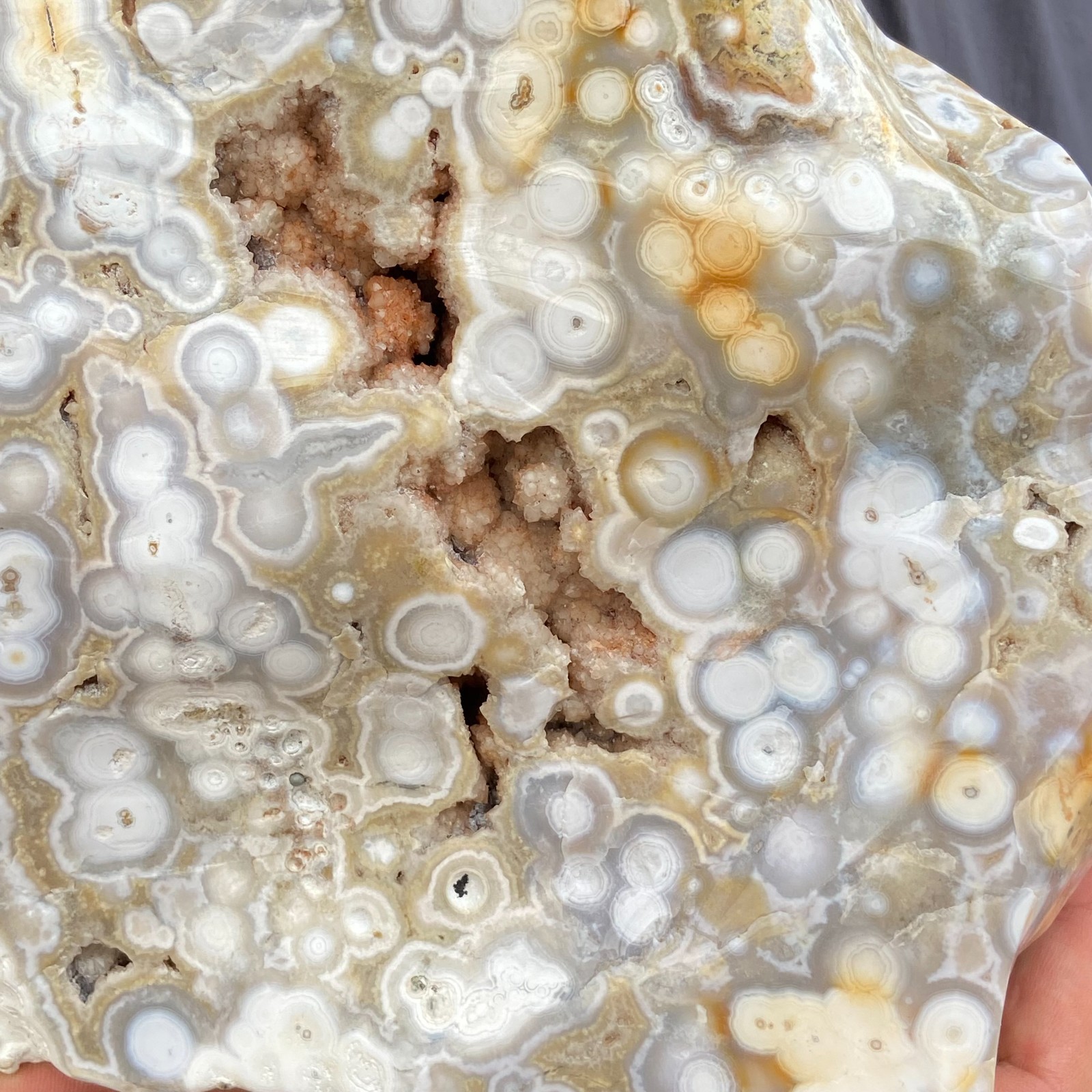 6LB 8th Vein Natural Ocean Jasper Freeform & Druzy Crystal Mineral Specimen