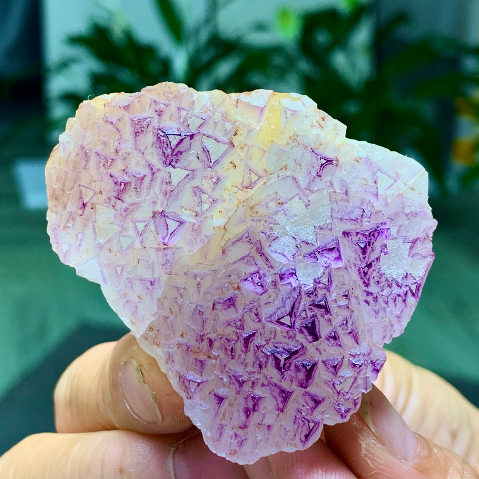 100G Natural fluorite purple edged cubic crystal mineral sample