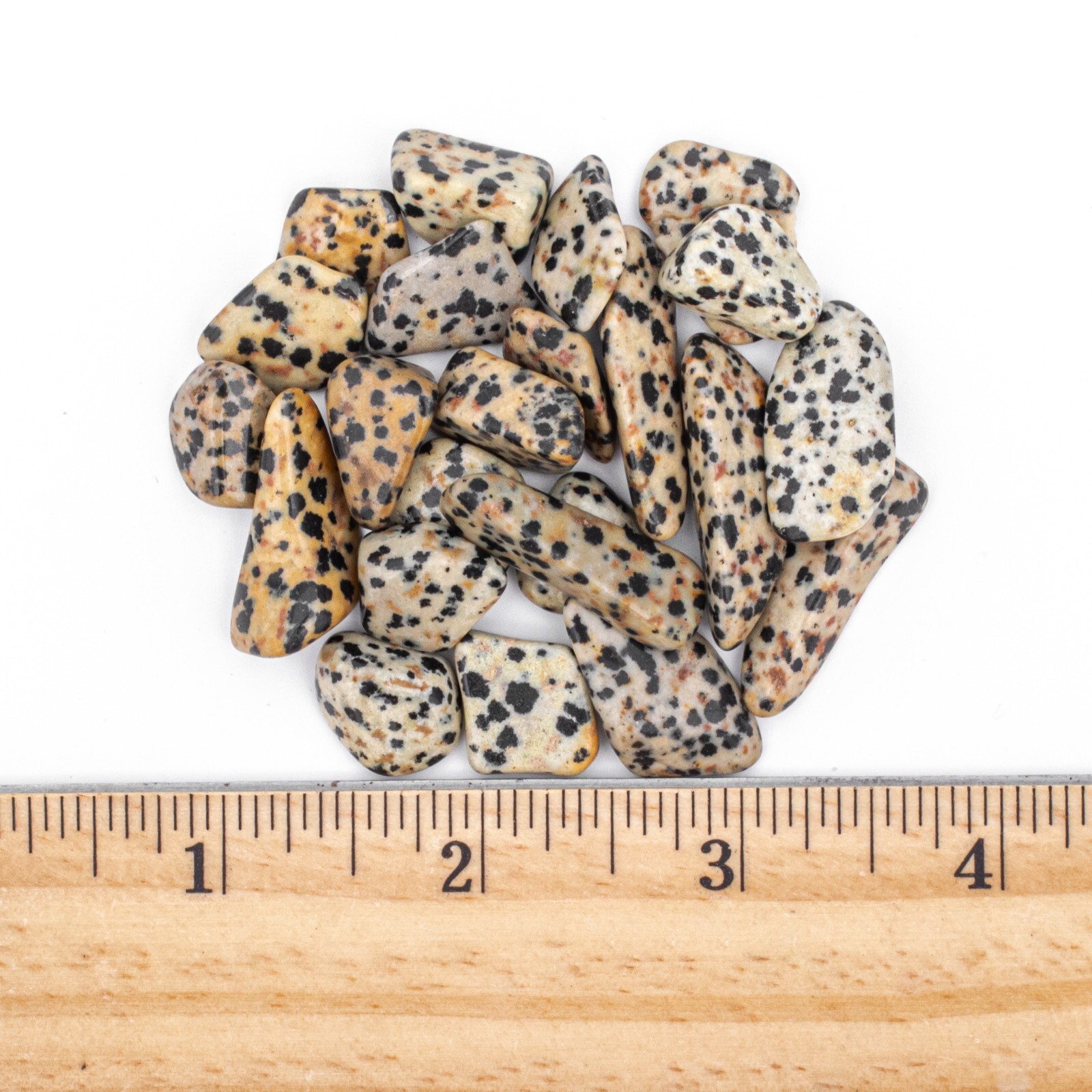 50g Tumbled Dalmatian Jasper Gemstone Crystals 15-30 Stones Bulk Gems Wholesale