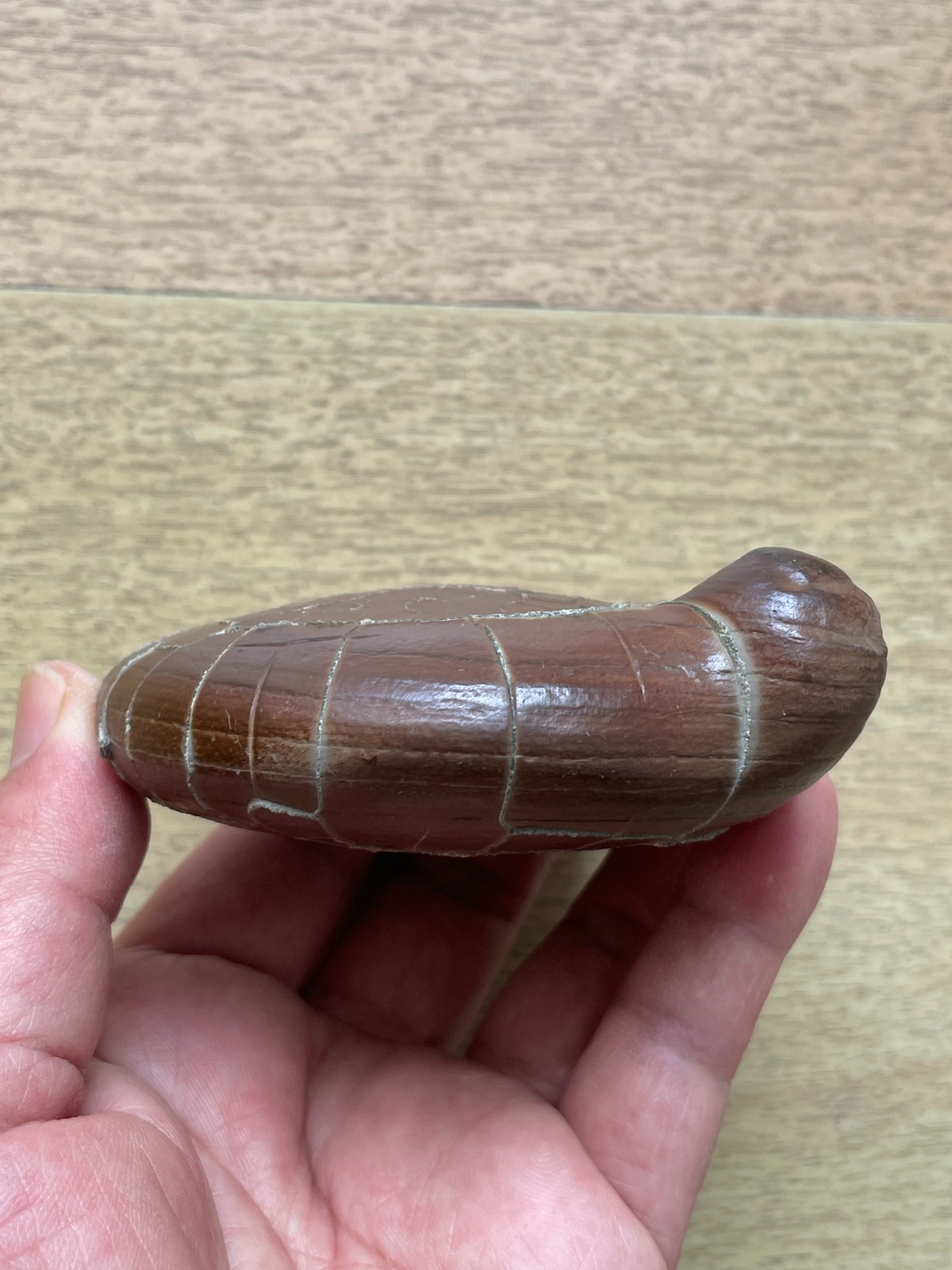412g beautiful Natural tortoise back pattern stone Moire stone Landscape stone