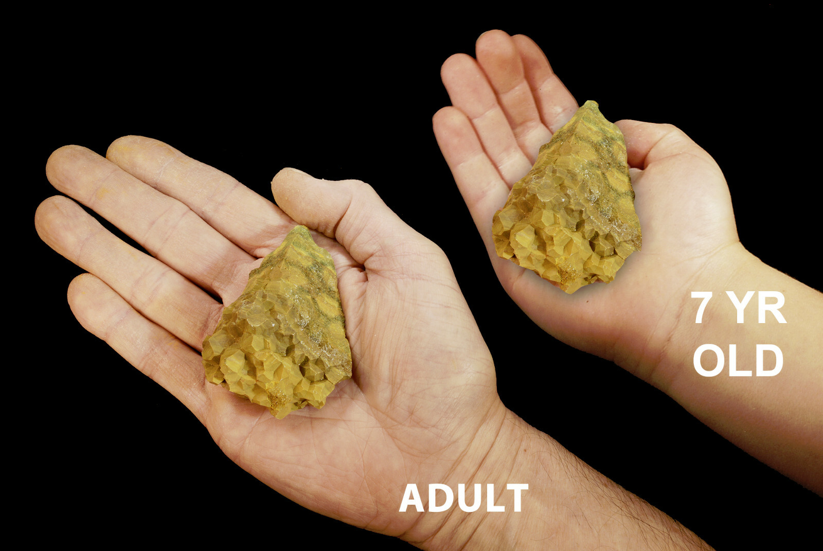 YELLOW OCEAN JASPER 3″ 8-12 Oz Rock Mineral Lapidary Solar Plexus Chakra Stone