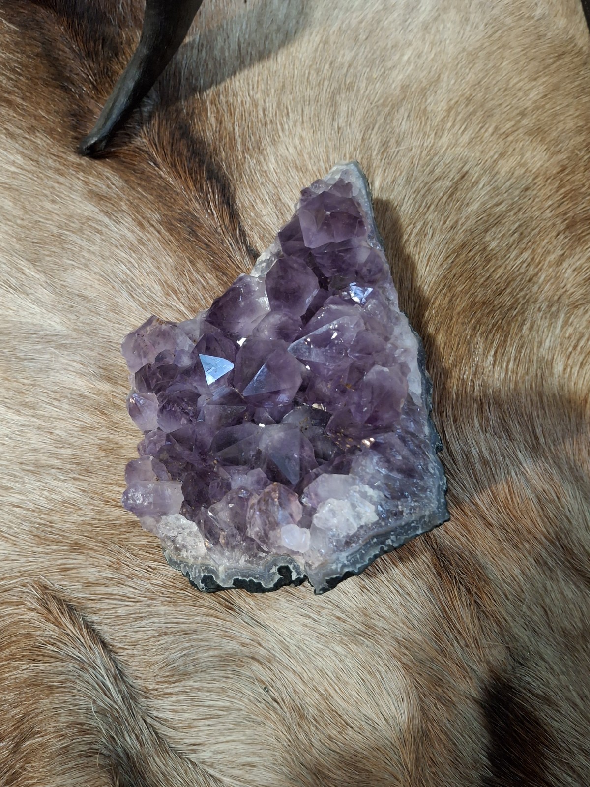 Amethyst Cluster