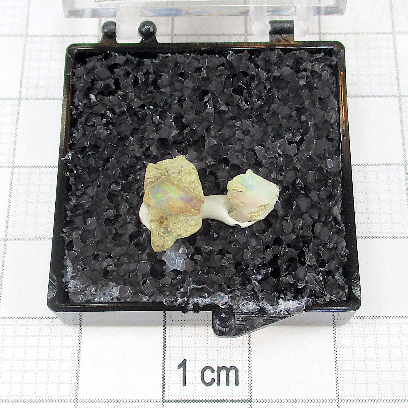 03408 TN Precious Opal Ethiopia 21874