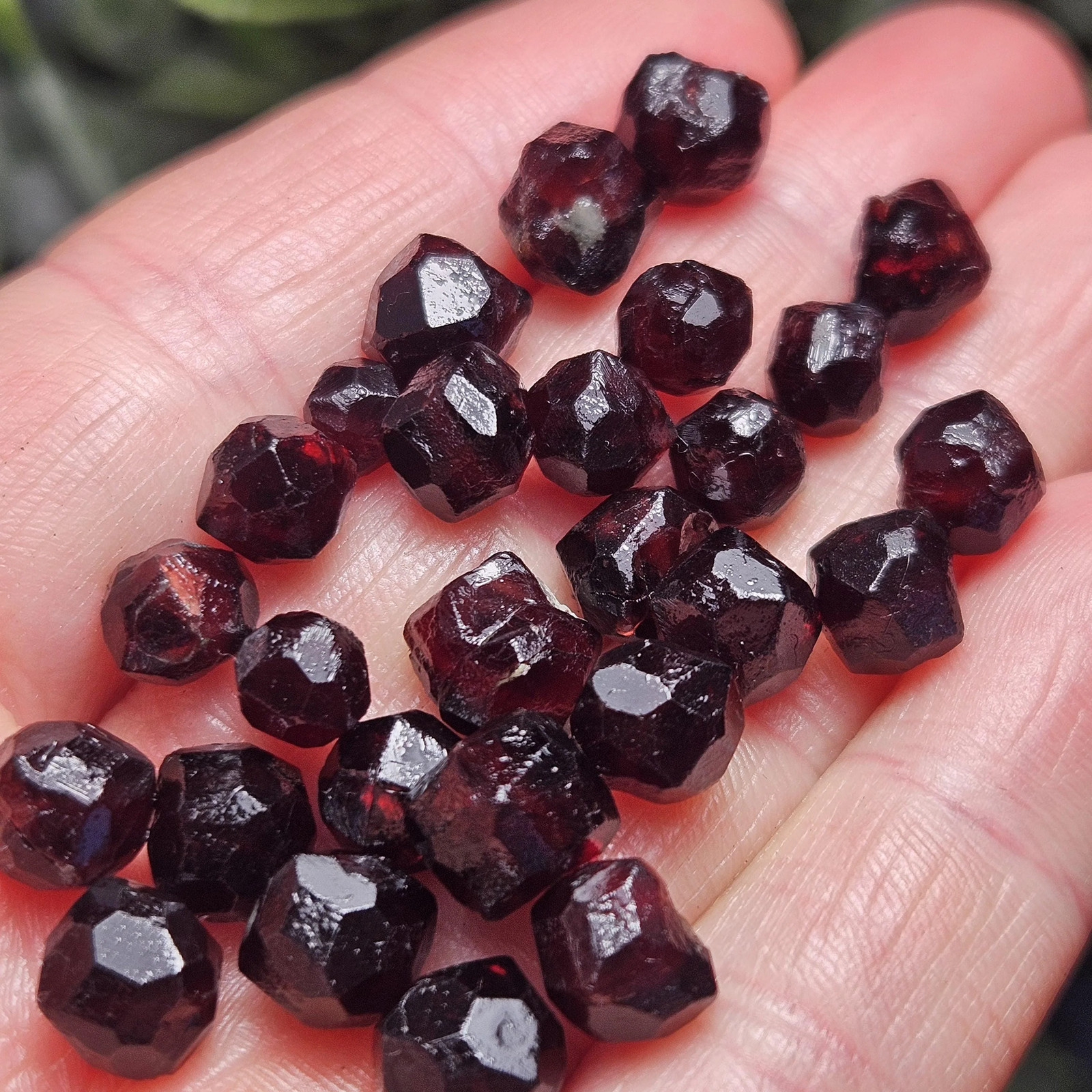 Red Garnet Crystals, Raw Dodecahedron Terminated Stones (5