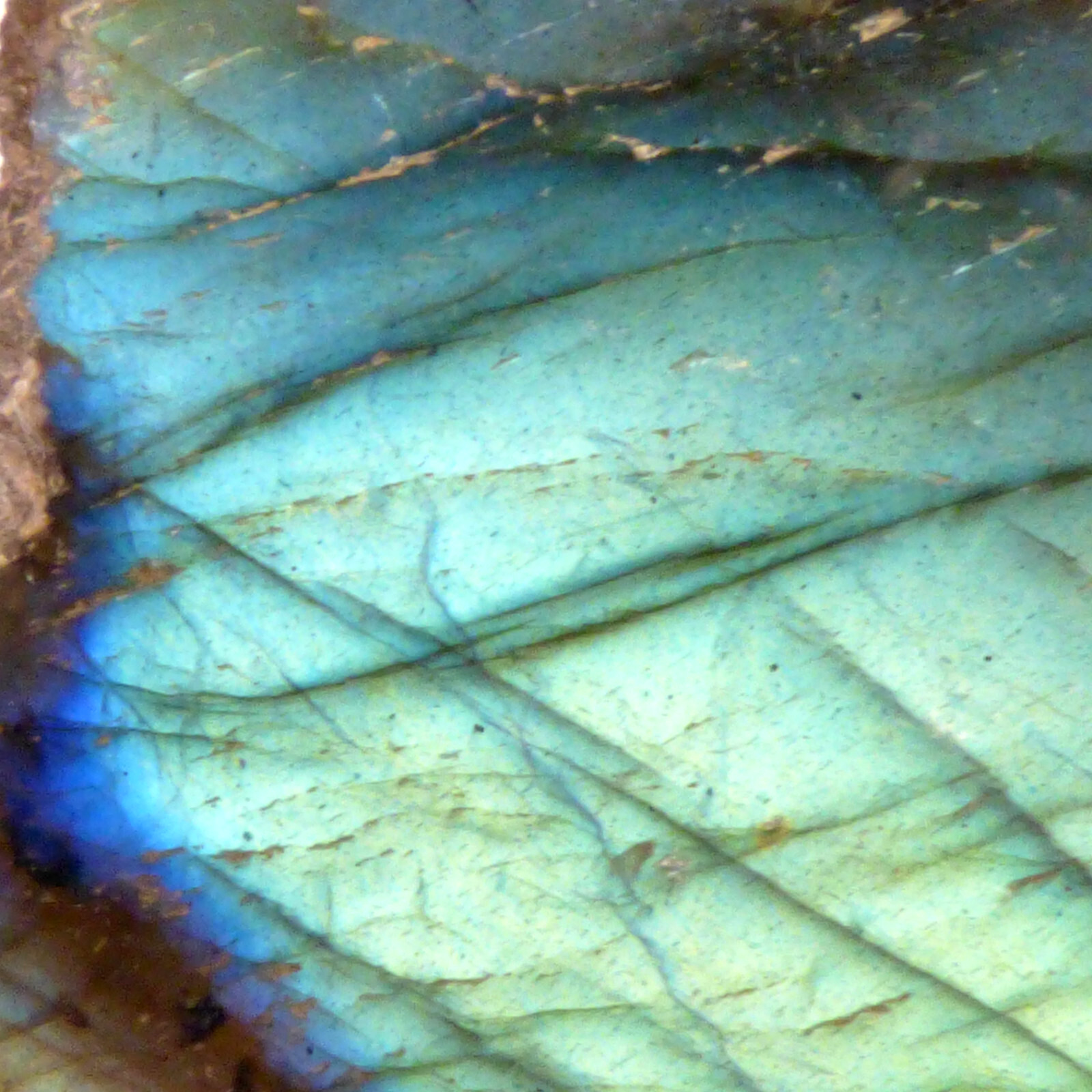 Labradorite Slice Blue Green Flash Iridescent Lustre Semi Polished Piece 5cm