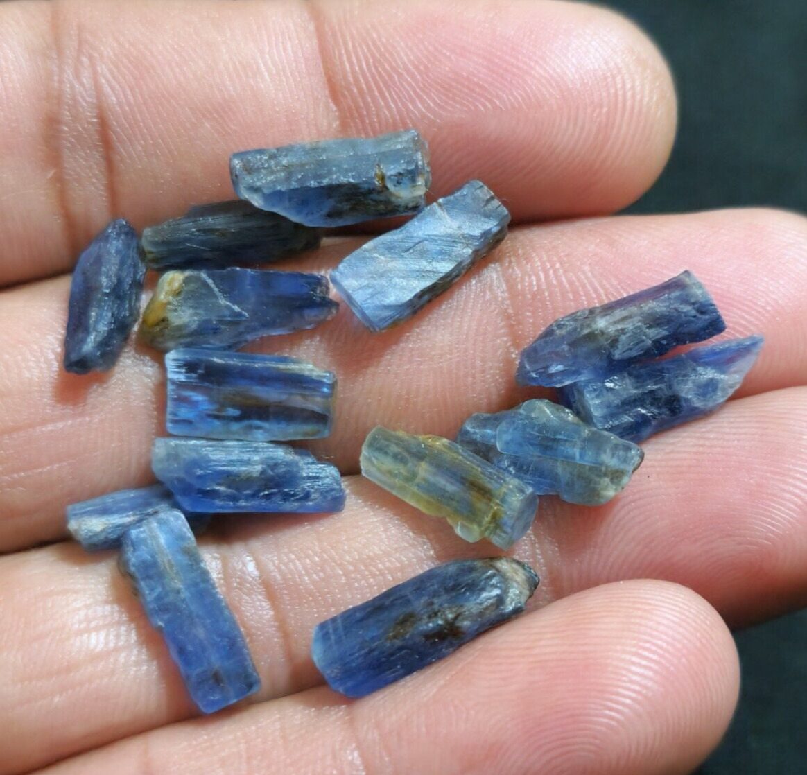 Amazing Blue Kyanite Raw 14 Pcs Lot Size 11-15 MM Loose Gemstone For Jewelry