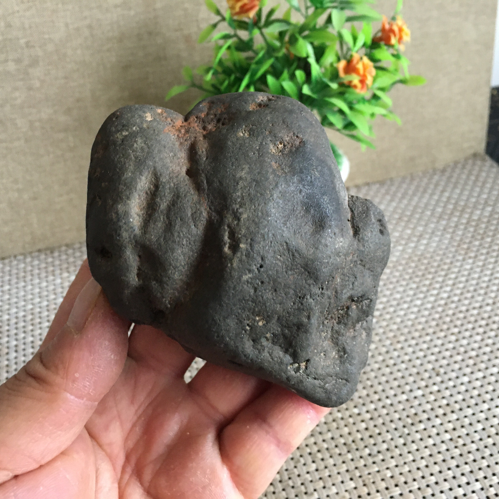 794g Natural Iron nickel Non-magnetic Meteorite Specimen from China B2494