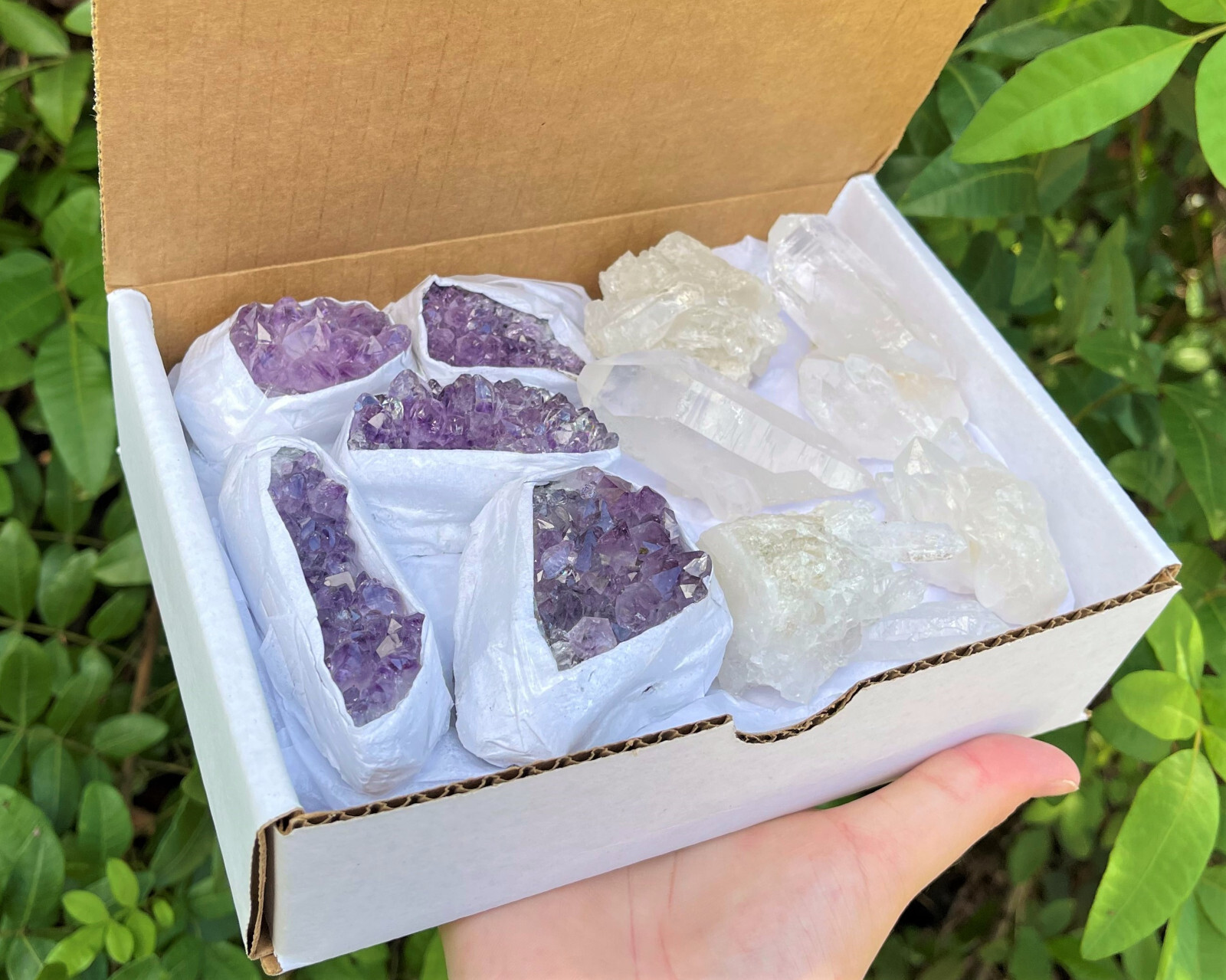 Wholesale Bulk Natural Amethyst & Clear Crystal Quartz Clusters: 8-14 Piece Lot