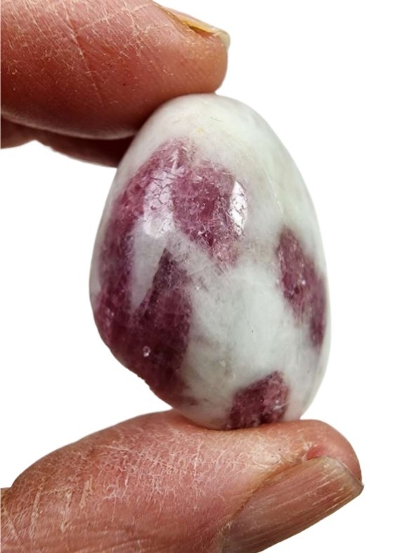 Pink Tourmaline Crystal in Quartz Polished Faced Brazil 22.8 grams