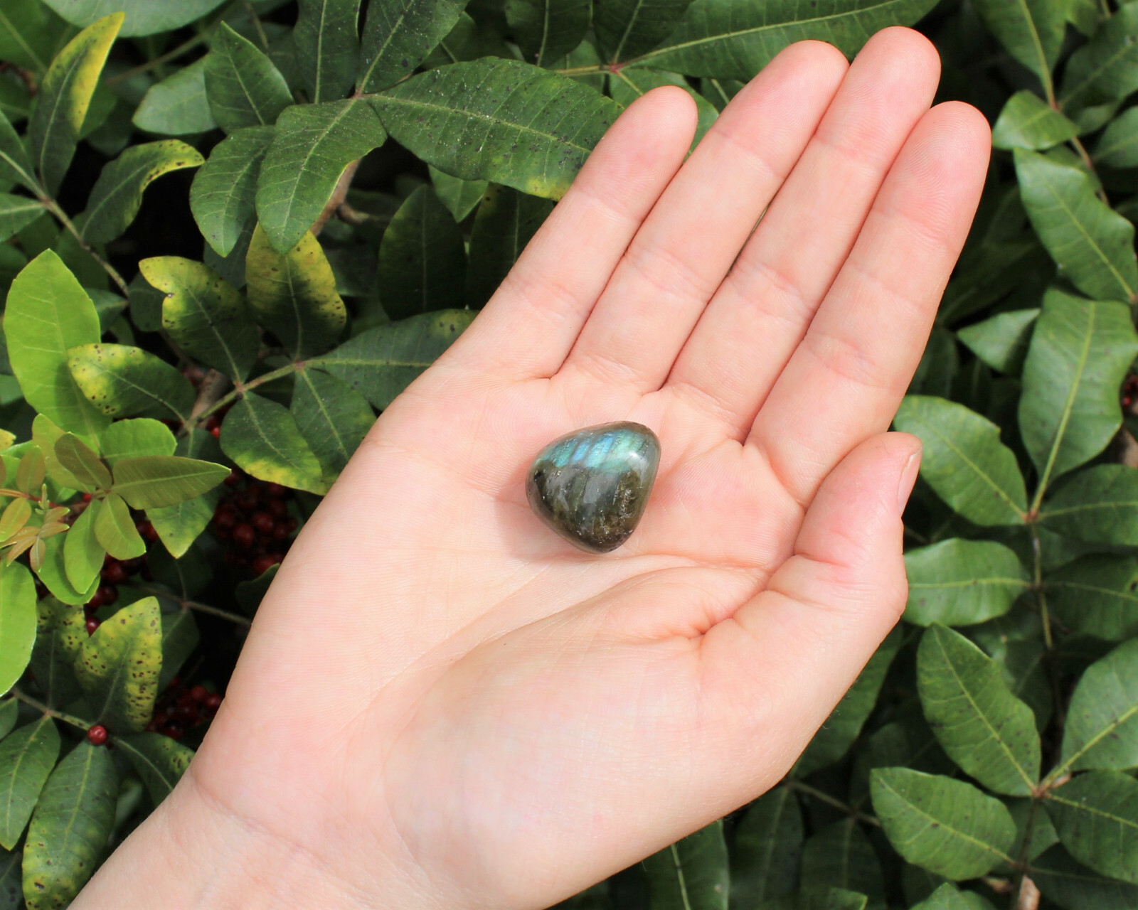 1 Labradorite Tumbled Stone (Premium Quality ‘A’ Grade)