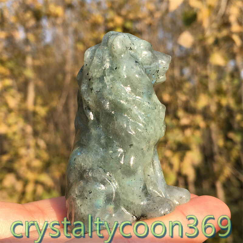 2″+ Natural Labradorite Quartz Carved Lion Crystal Gift Skull Reiki Healing 1pc