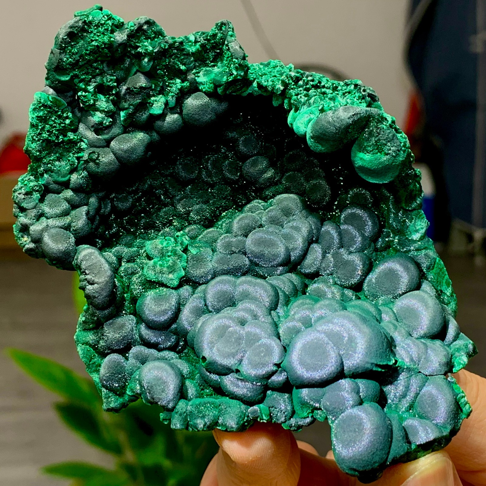 205g Natural glossy malachite cat eye transparent cluster rough mineral Sample