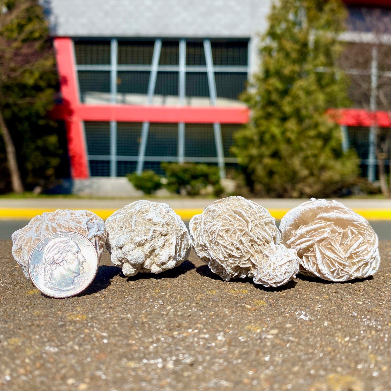 Selenite Rose Cluster Formations – 1.5 inches to 2 inches dia. – Healing, Reiki