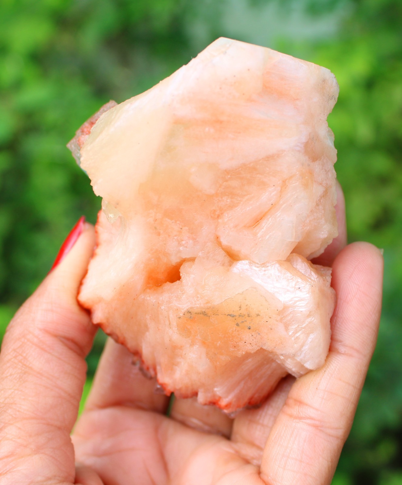 APOPHYLLITE CRYSTALS ON RED STILBITE MINERAL SPECIMEN