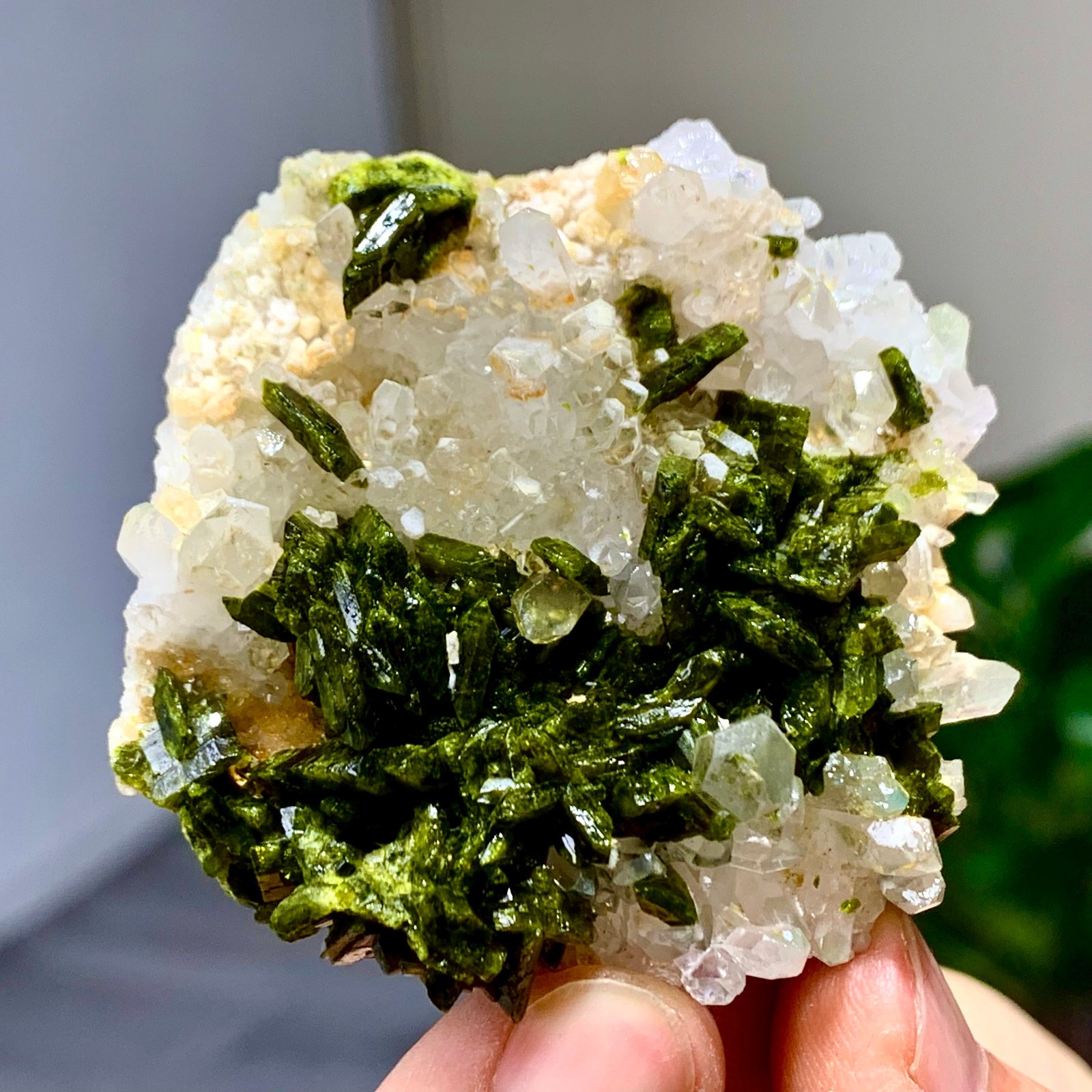 46g Natural Garden quartz cluster specimen tourmaline mineral healing SiChuan
