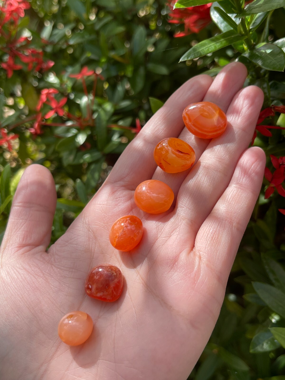 Grade A++ Carnelian Tumbled Stones, 0.5-0.75″ Small Tumbled Carnelian, Bulk Lots