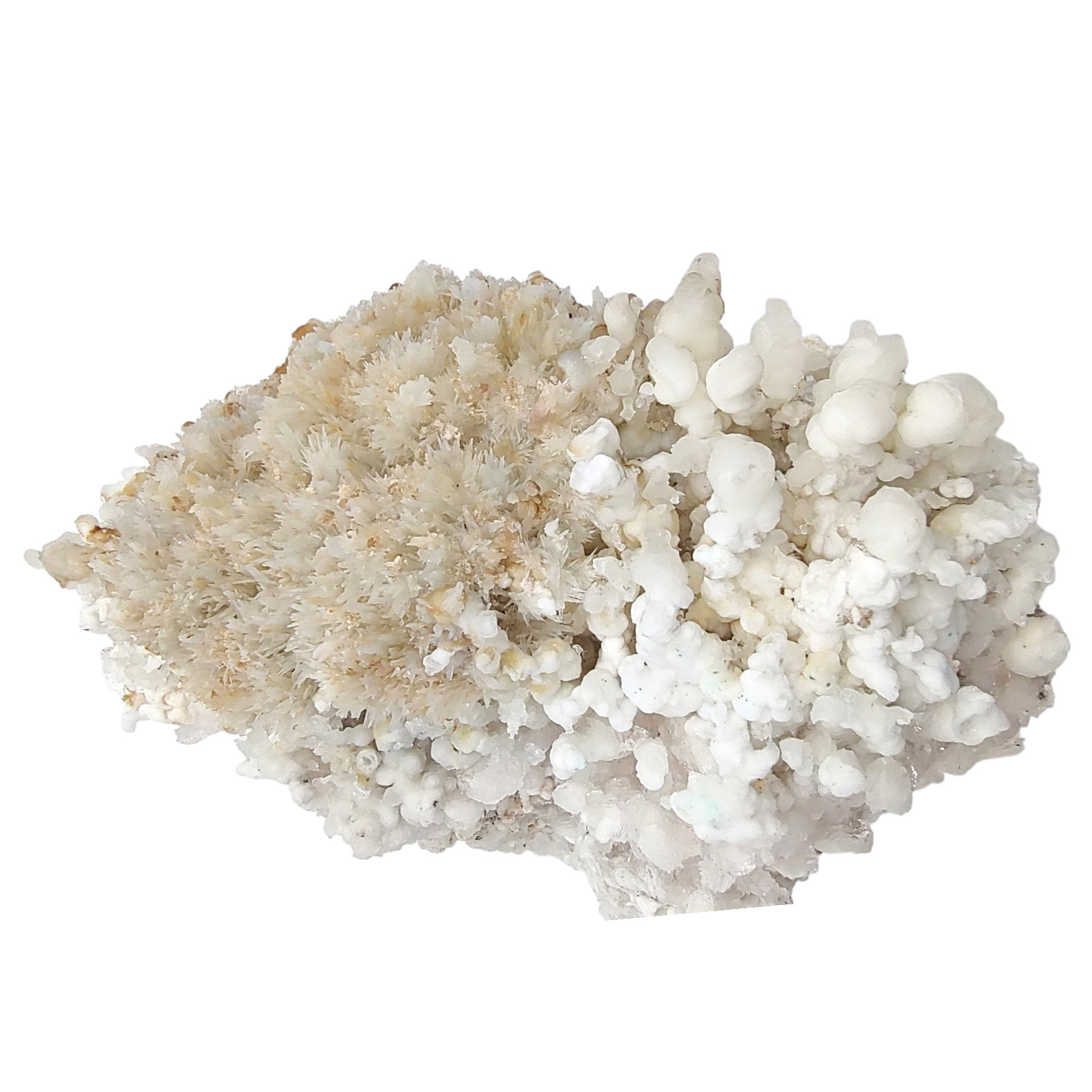 1.8 lb Aragonite Calcite – Rare Specimen, Amazing Quality, 15x7x8 cm, Ojuela Mx