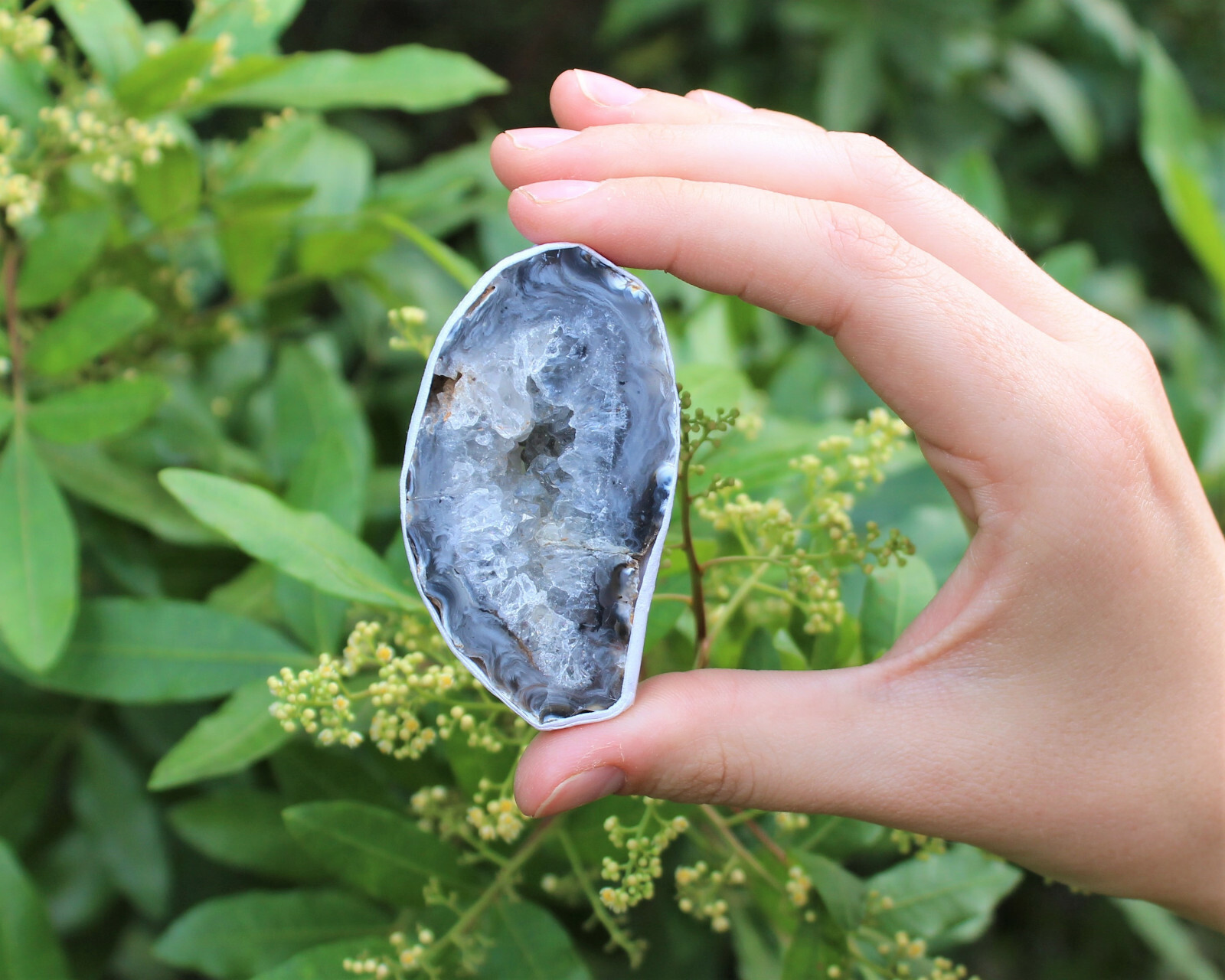 Large Oco Agate Geodes, Natural Crystal Druzy Halves: Choose How Many Pieces!