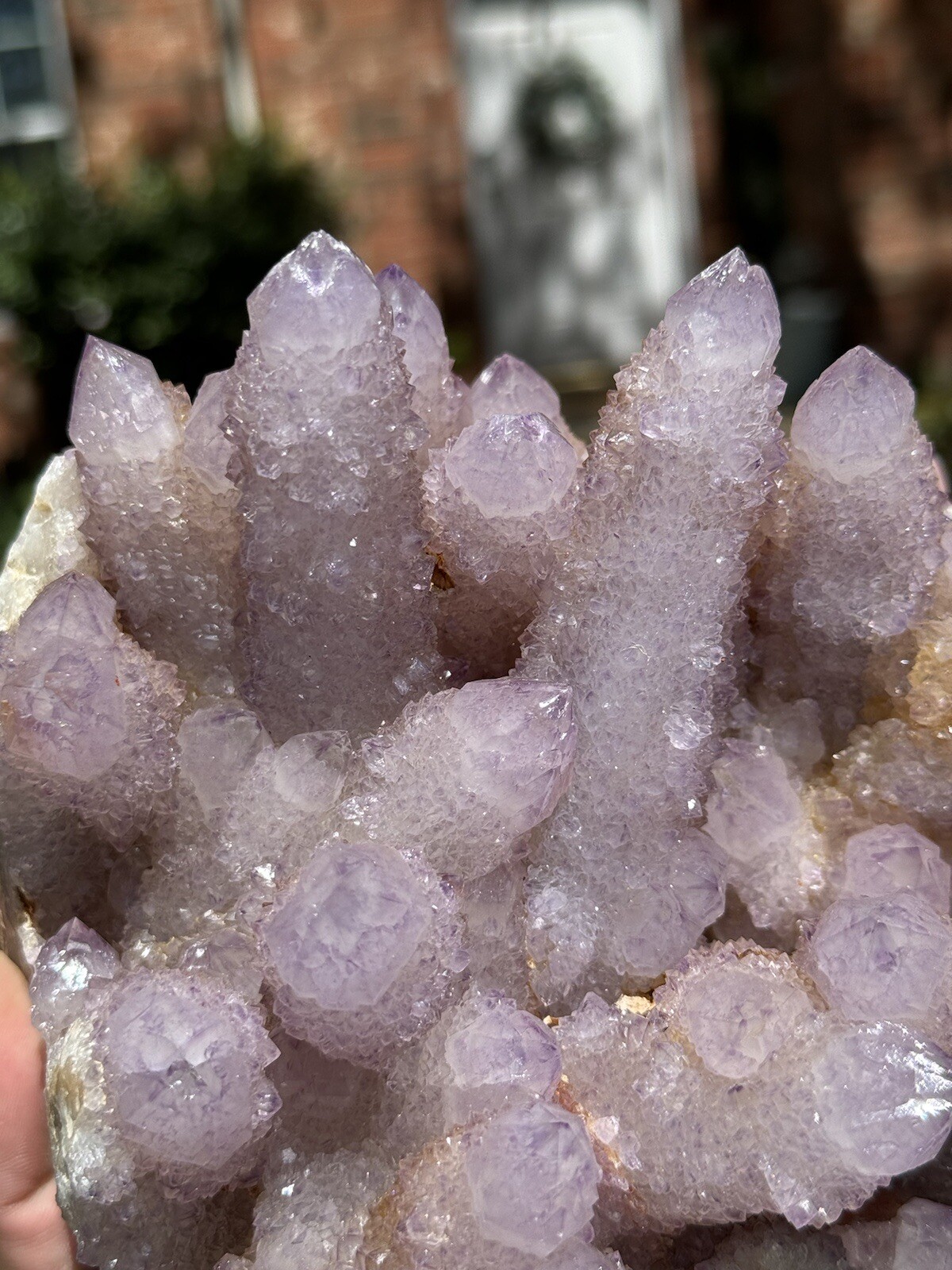 High Grade XXL (5.7lbs) Long Finger Deep Lavender Spirit Cactus Quartz cluster